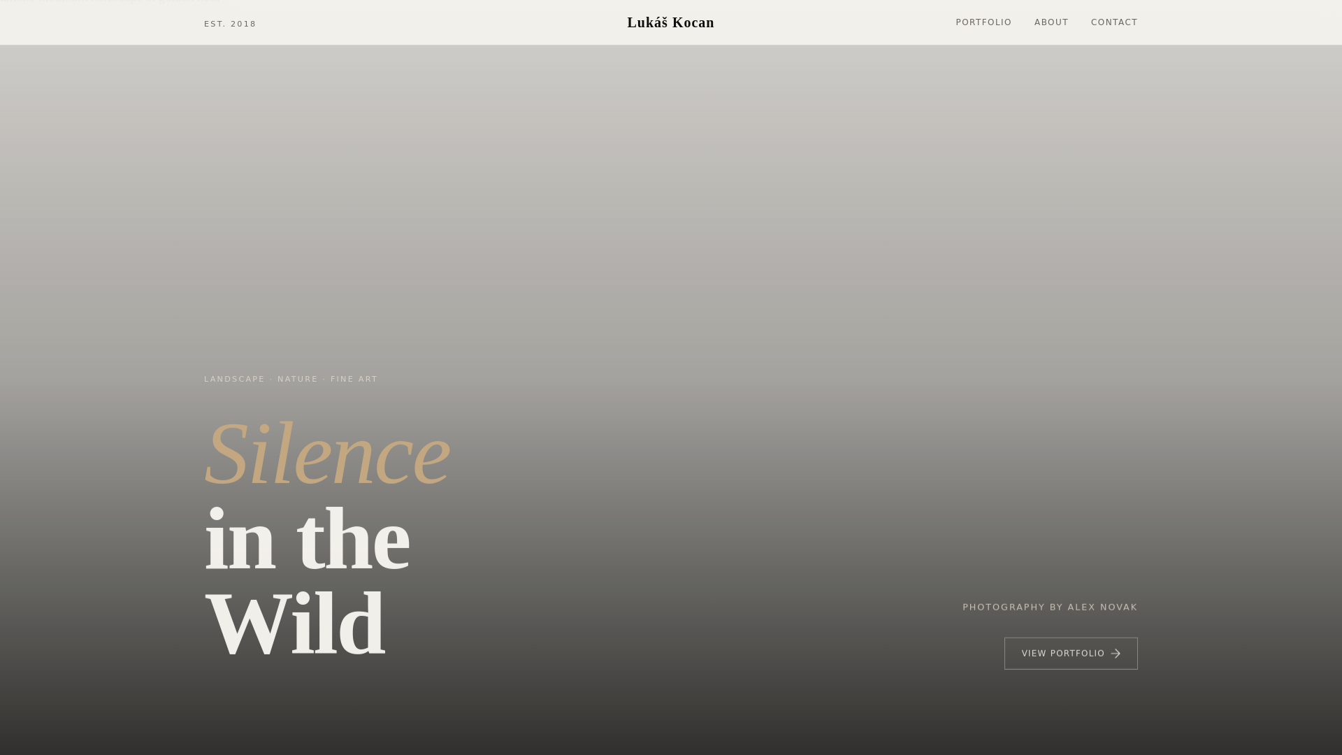 website screenshot of https://lukaskocan.page/