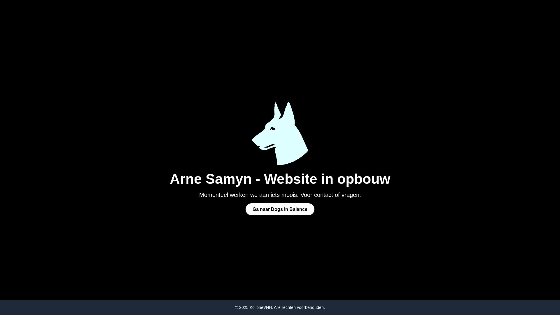 website screenshot of https://arnesamyn.com/