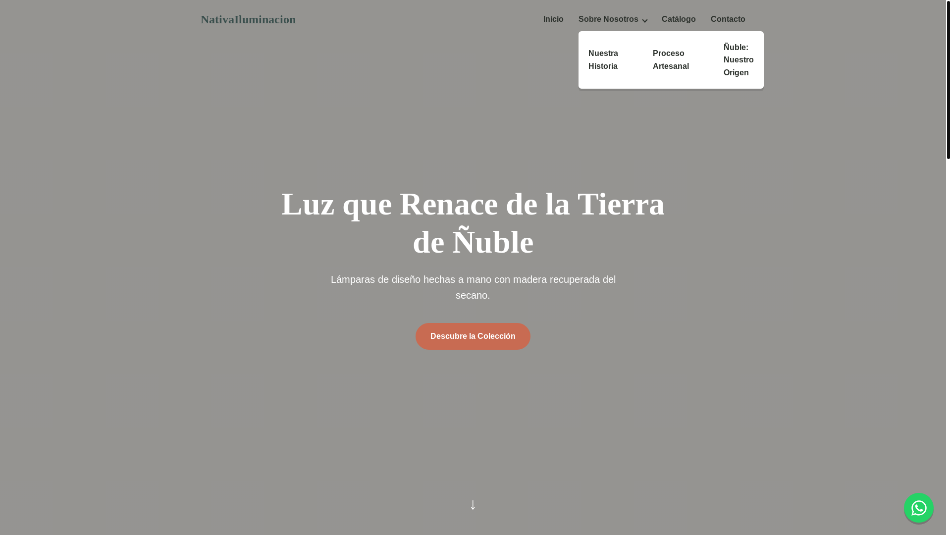 website screenshot of https://nativailuminacion.cl/