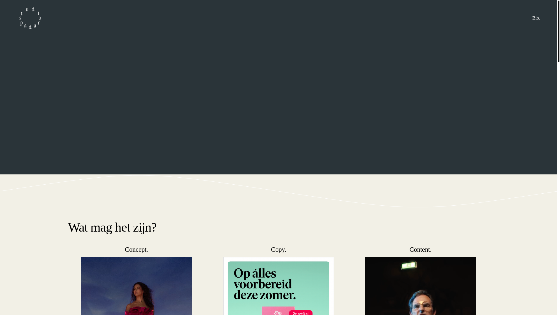 website screenshot of https://studiospadaro.nl/