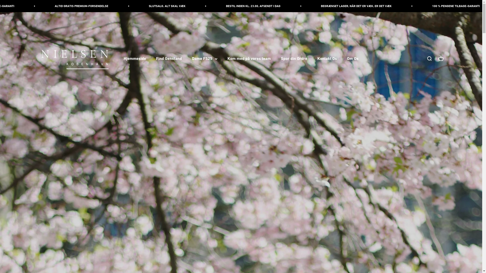 website screenshot of https://nielsen-kobenhavn.dk/
