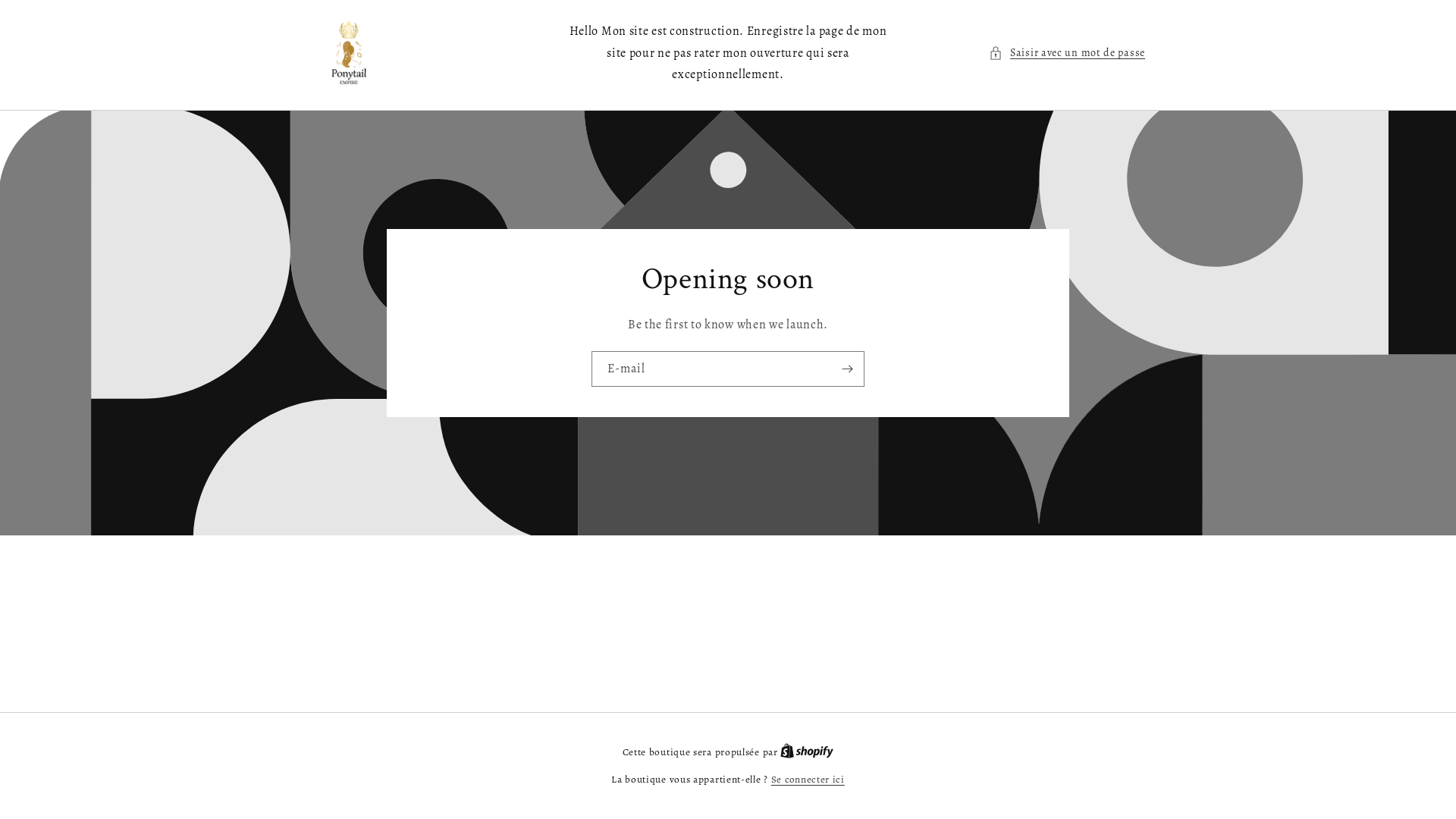 website screenshot of https://ponytailempire.com/