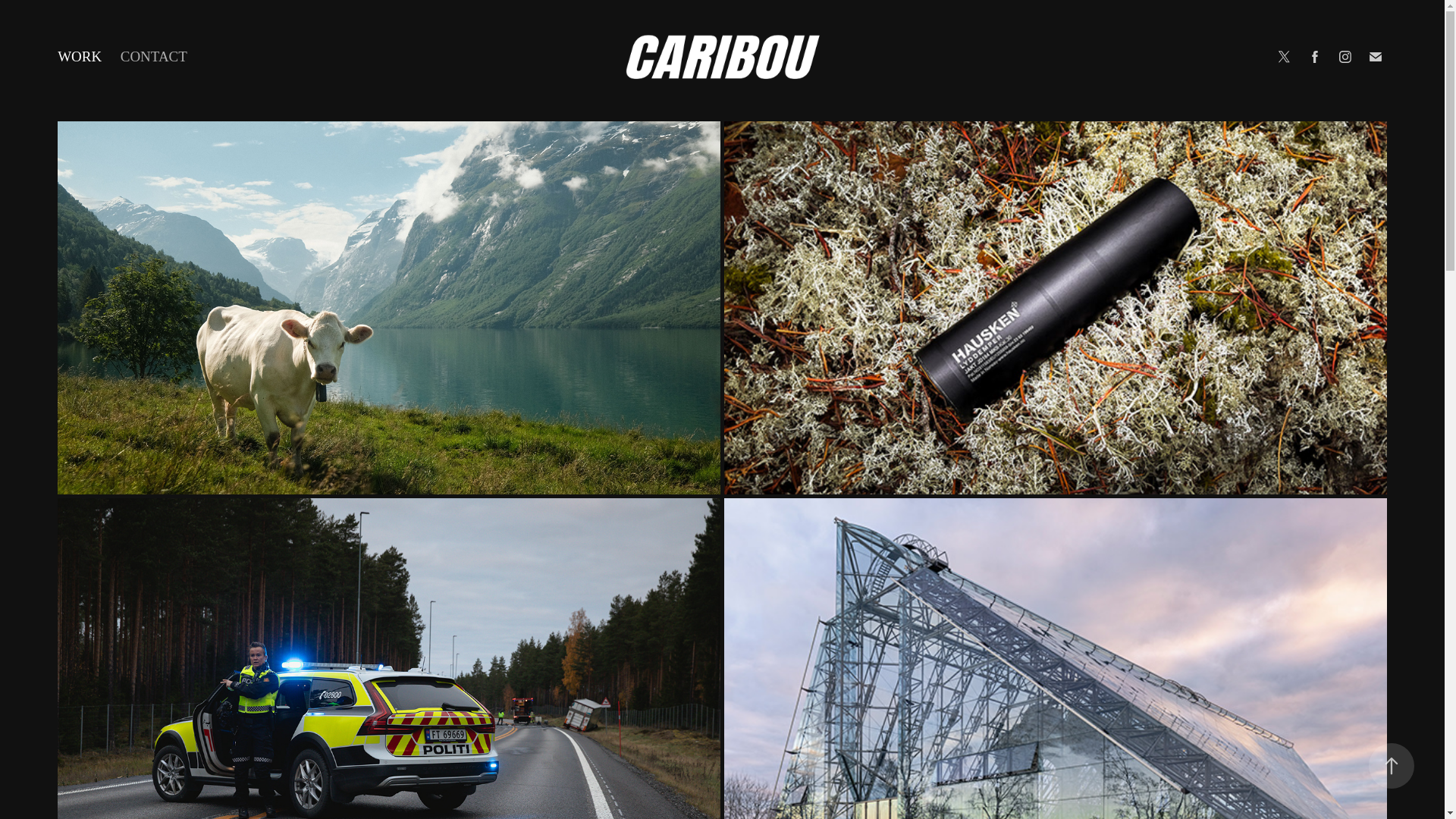 website screenshot of https://caribou-media.no/