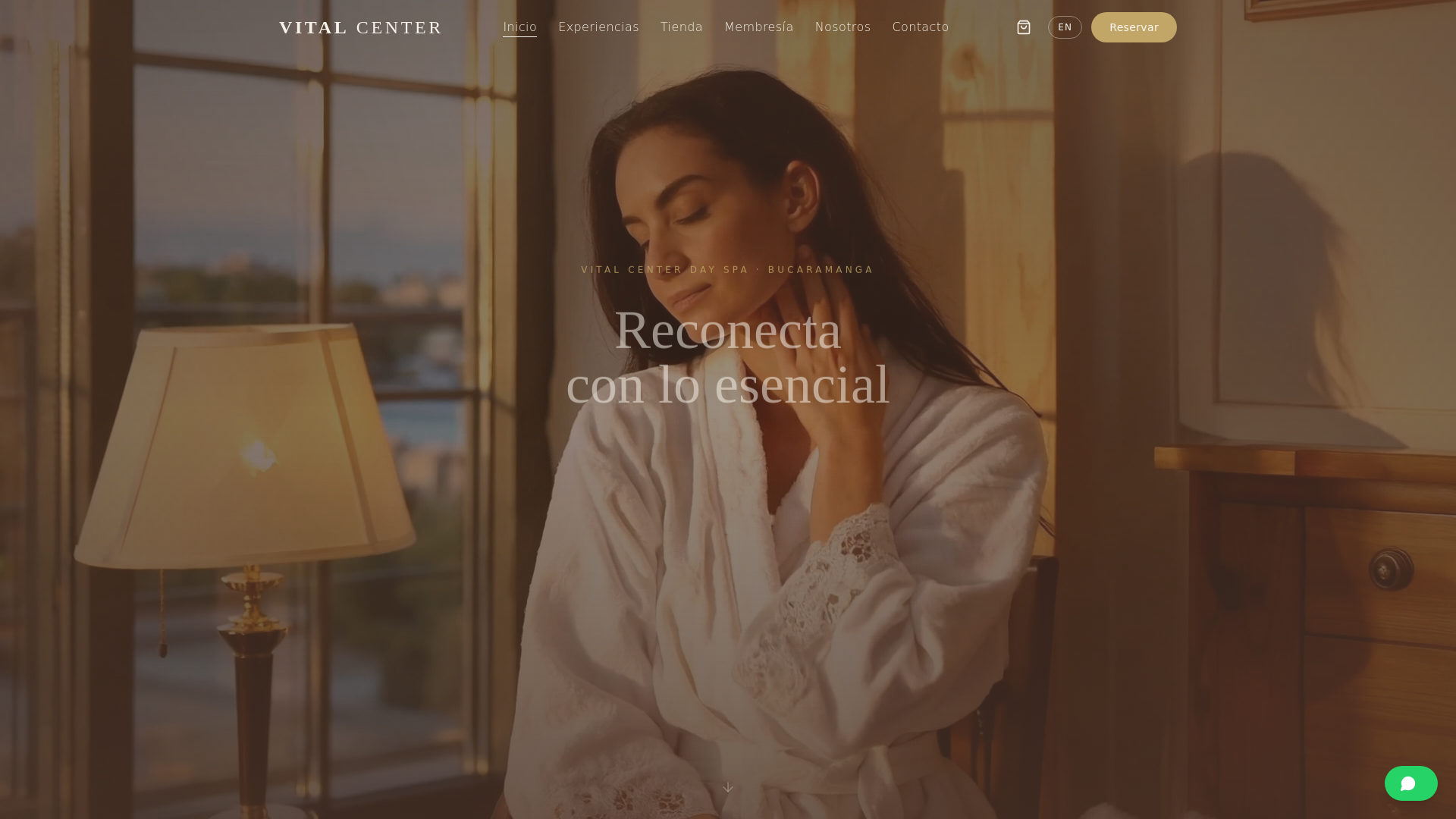 website screenshot of https://website6.org