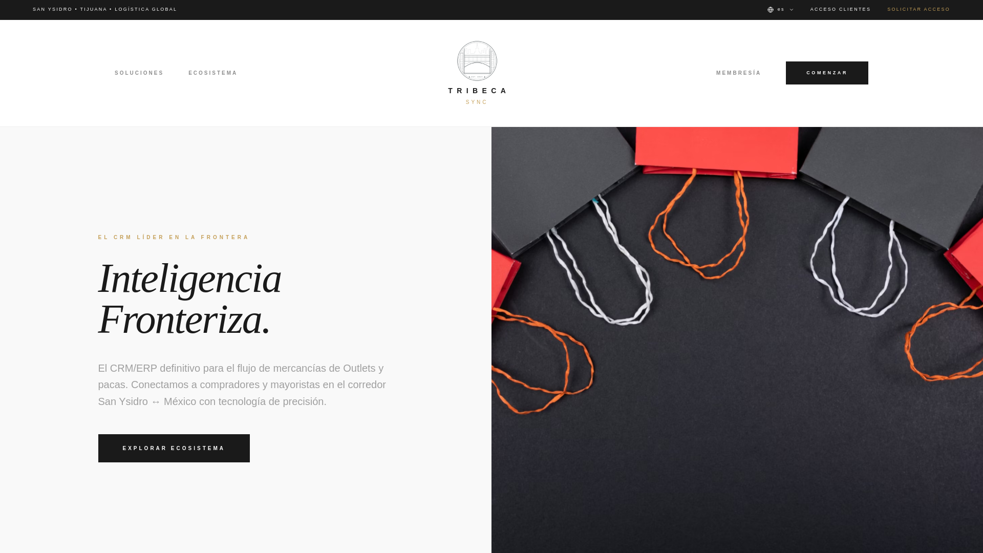 website screenshot of https://tribecasync.shop/