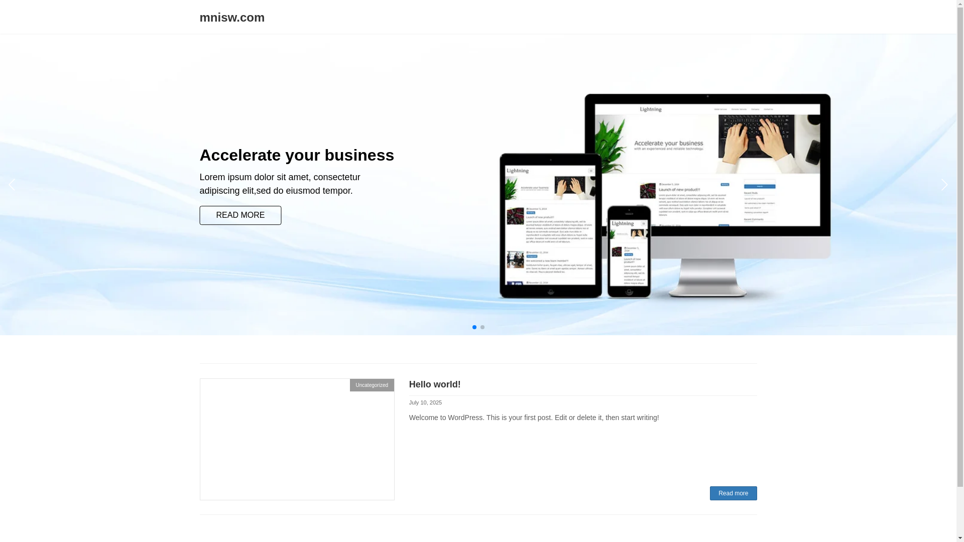 website screenshot of https://mnisw.com/