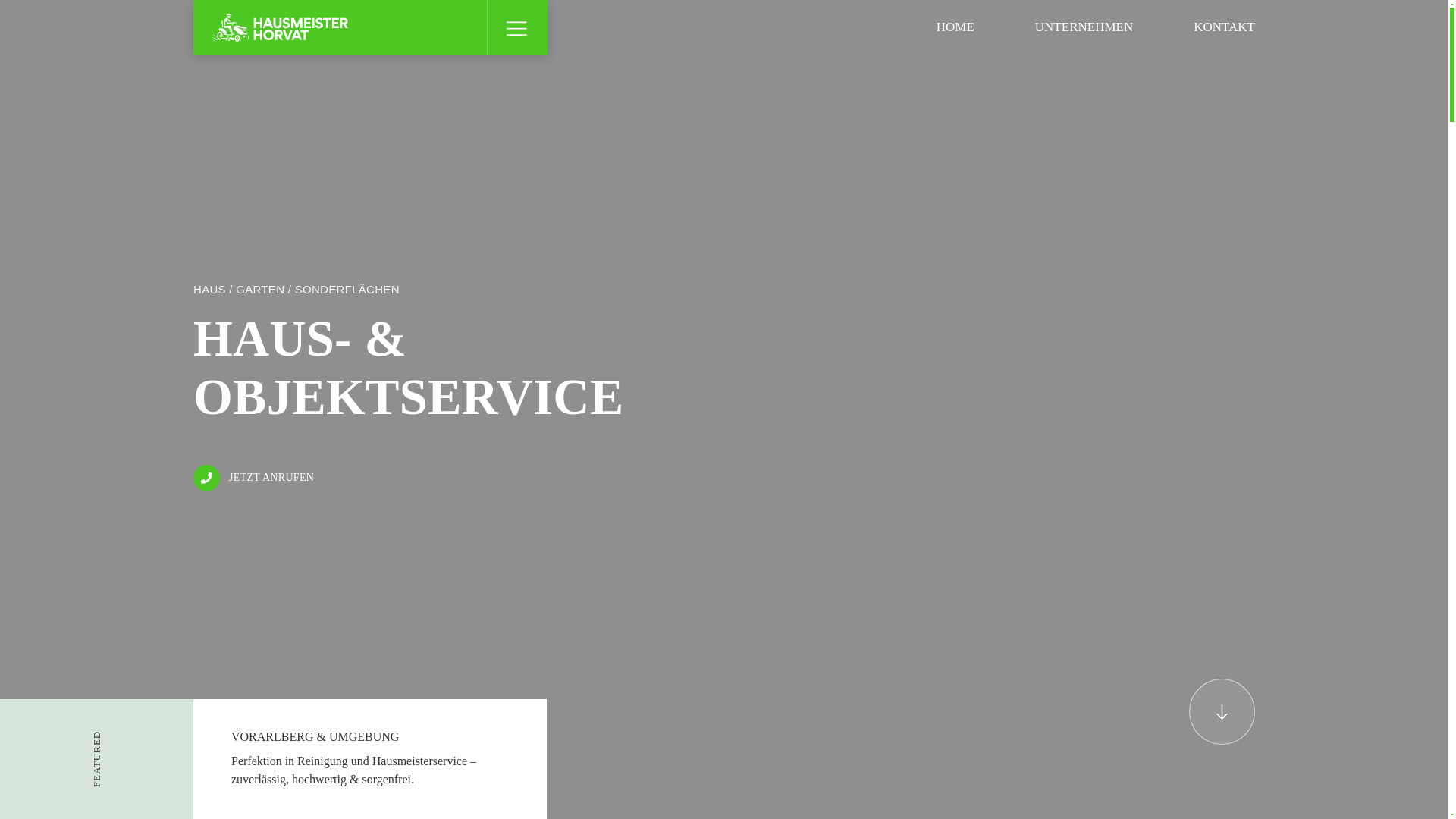 website screenshot of https://team-hmh.at/