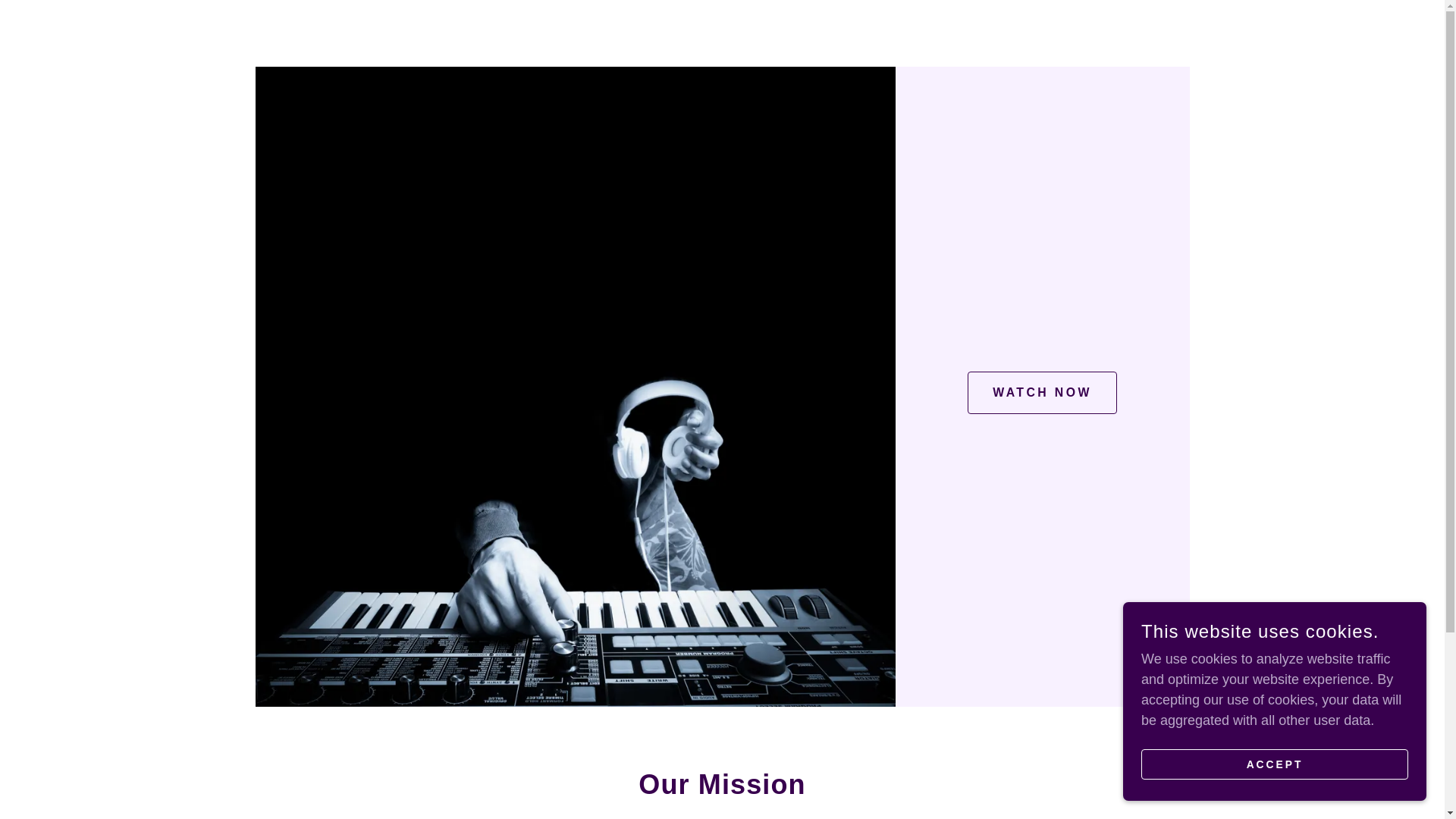 website screenshot of https://stanstrailer.com/