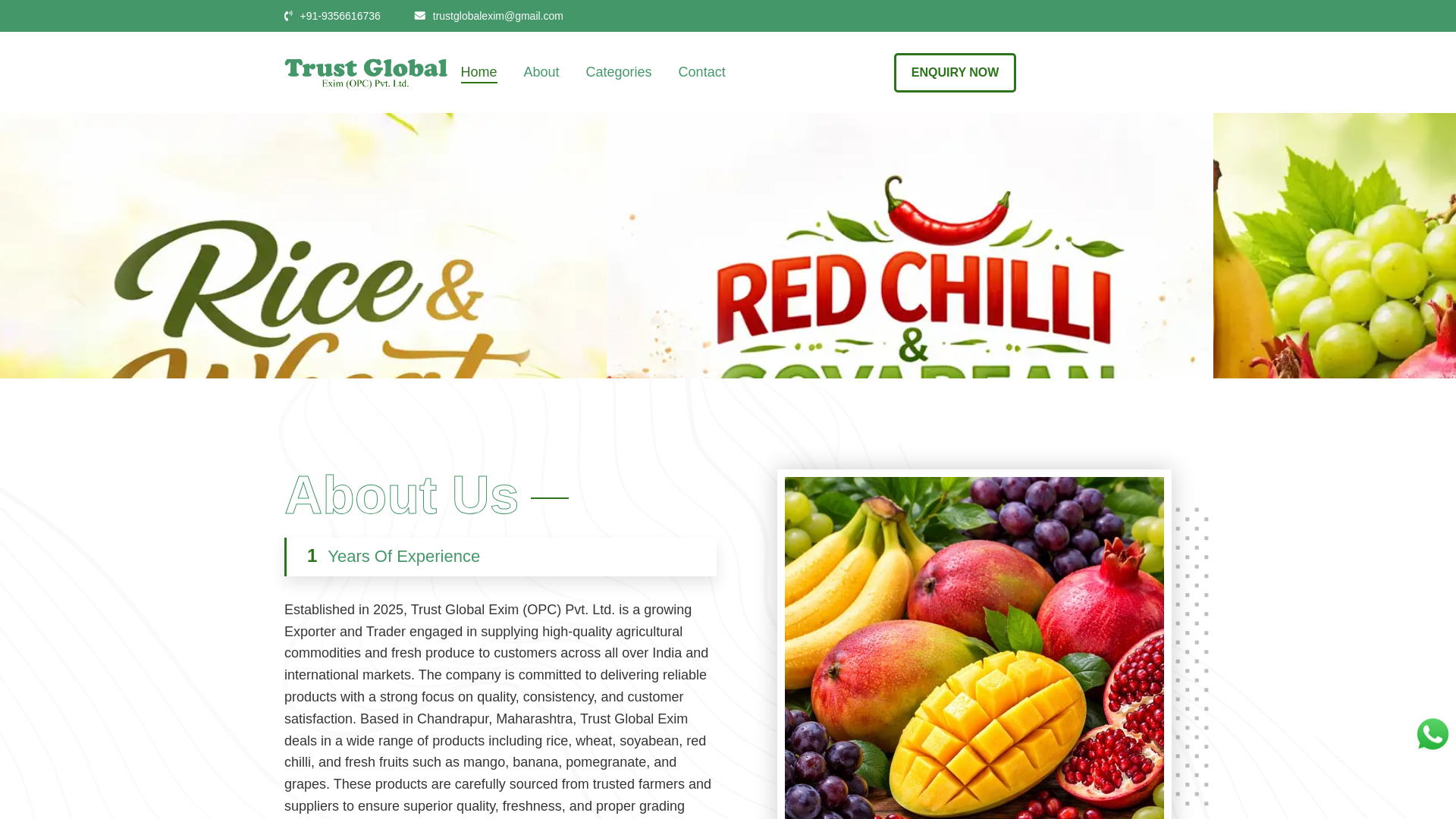 website screenshot of https://trustglobalexim.in