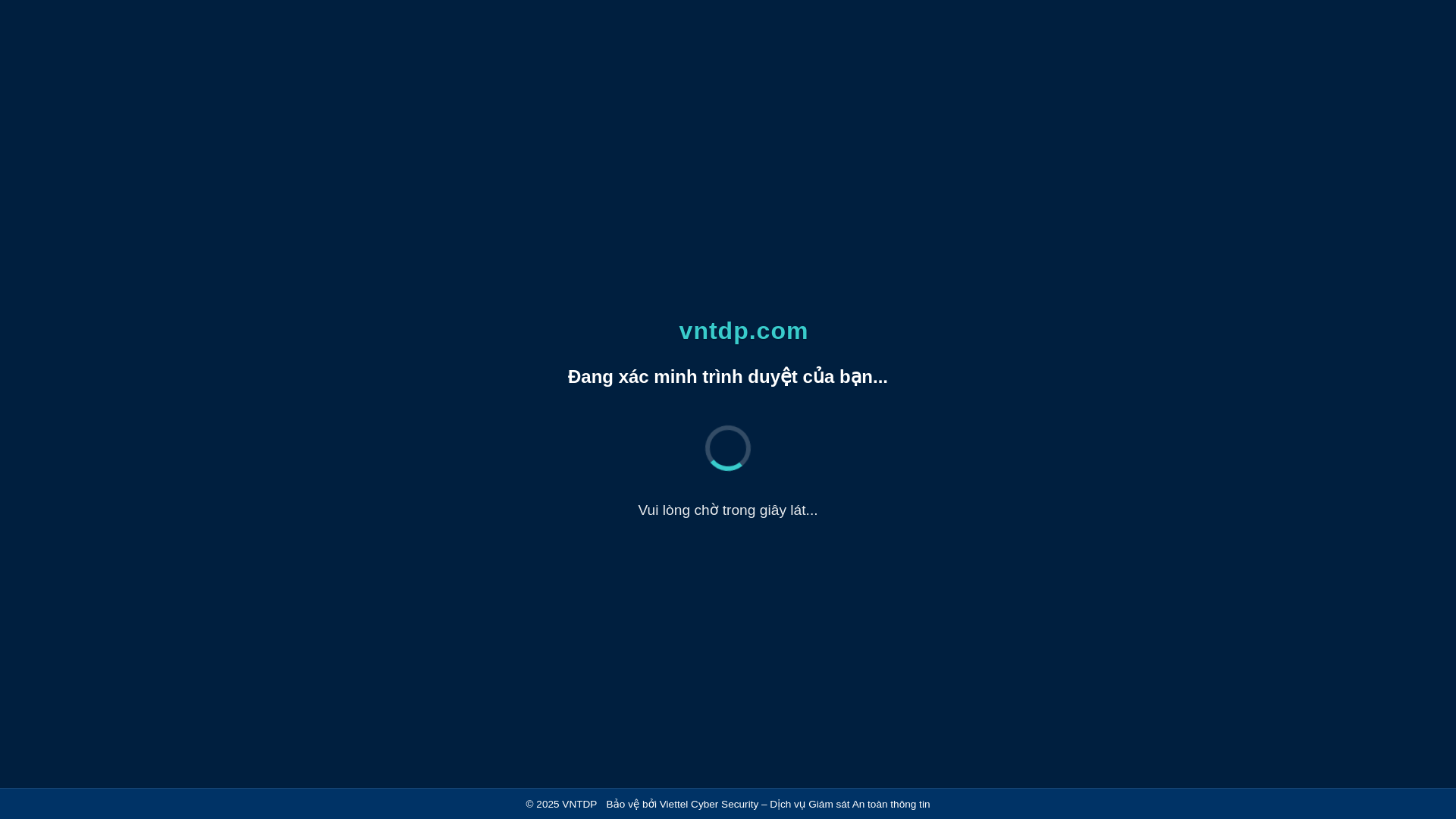 website screenshot of https://vntdp.com/