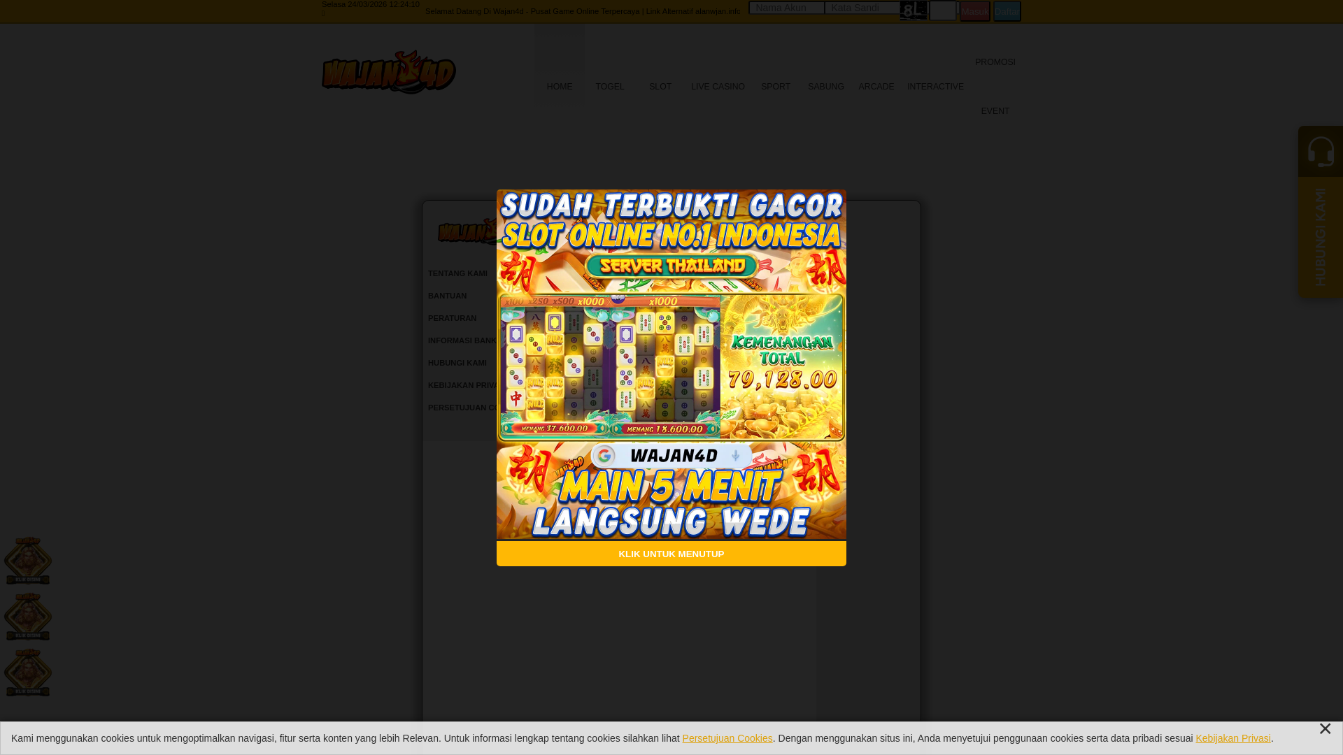 website screenshot of https://zzanwjan.info/