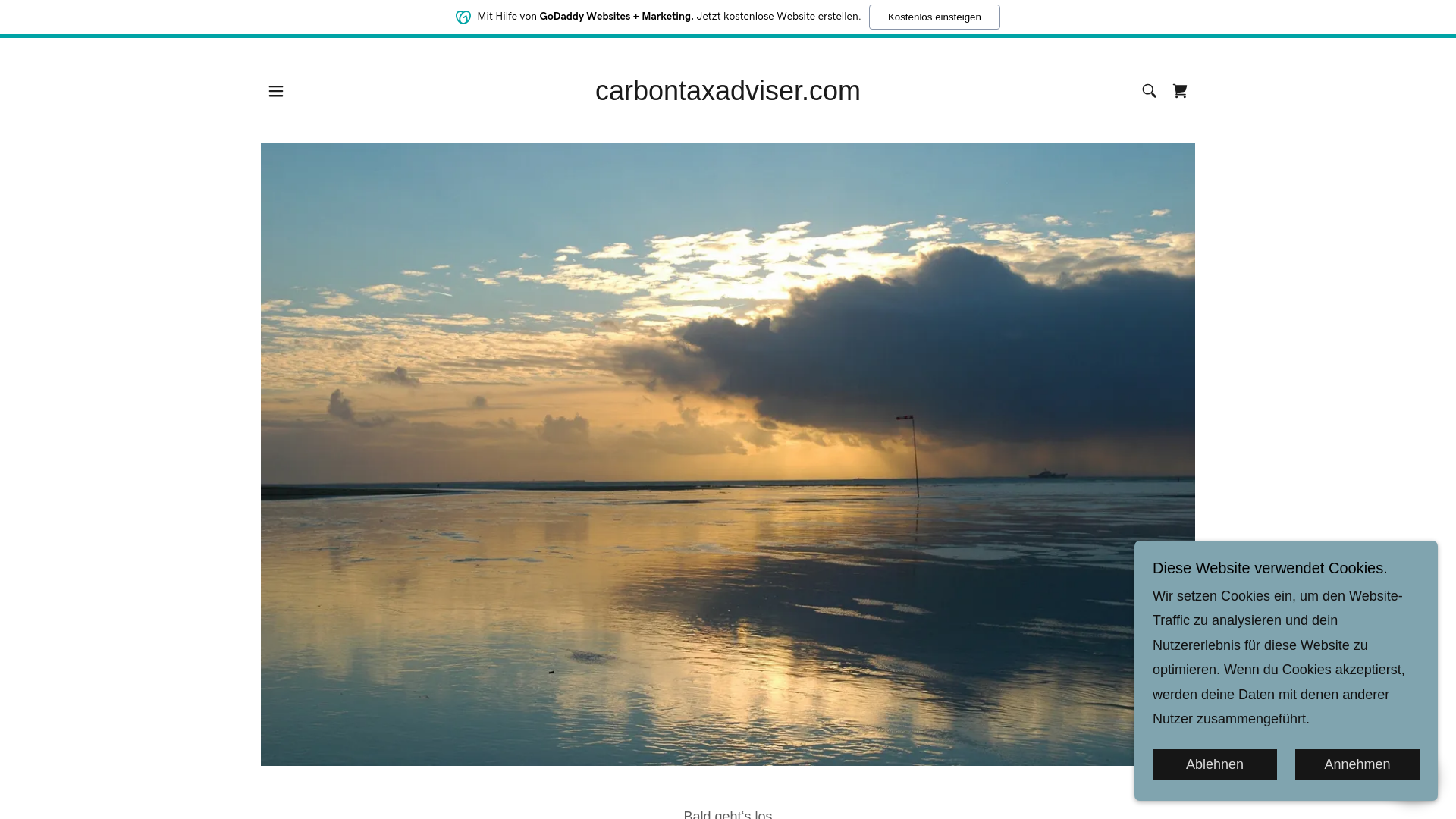 website screenshot of https://carbontaxadviser.com/