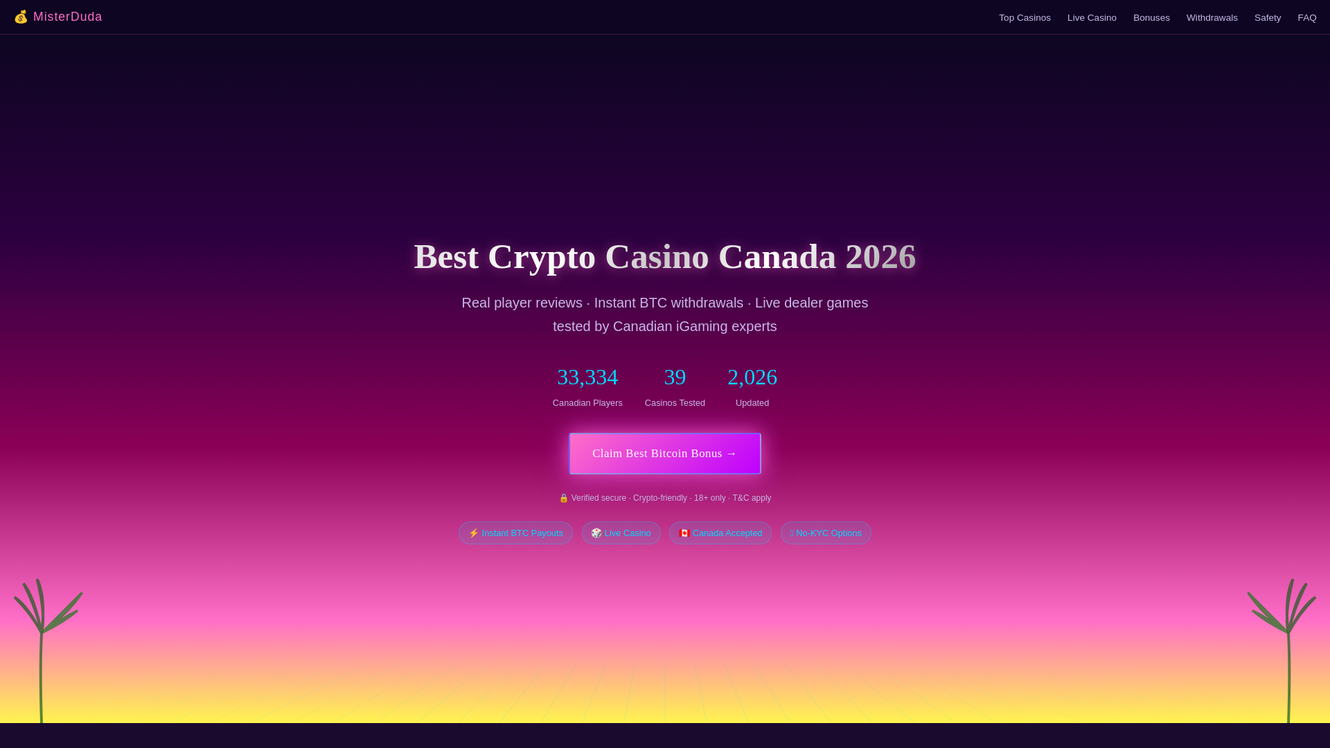 website screenshot of https://misterduda-com.pages.dev/