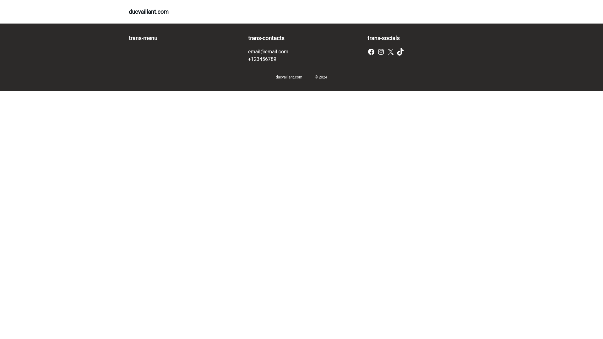website screenshot of https://ducvaillant.com/