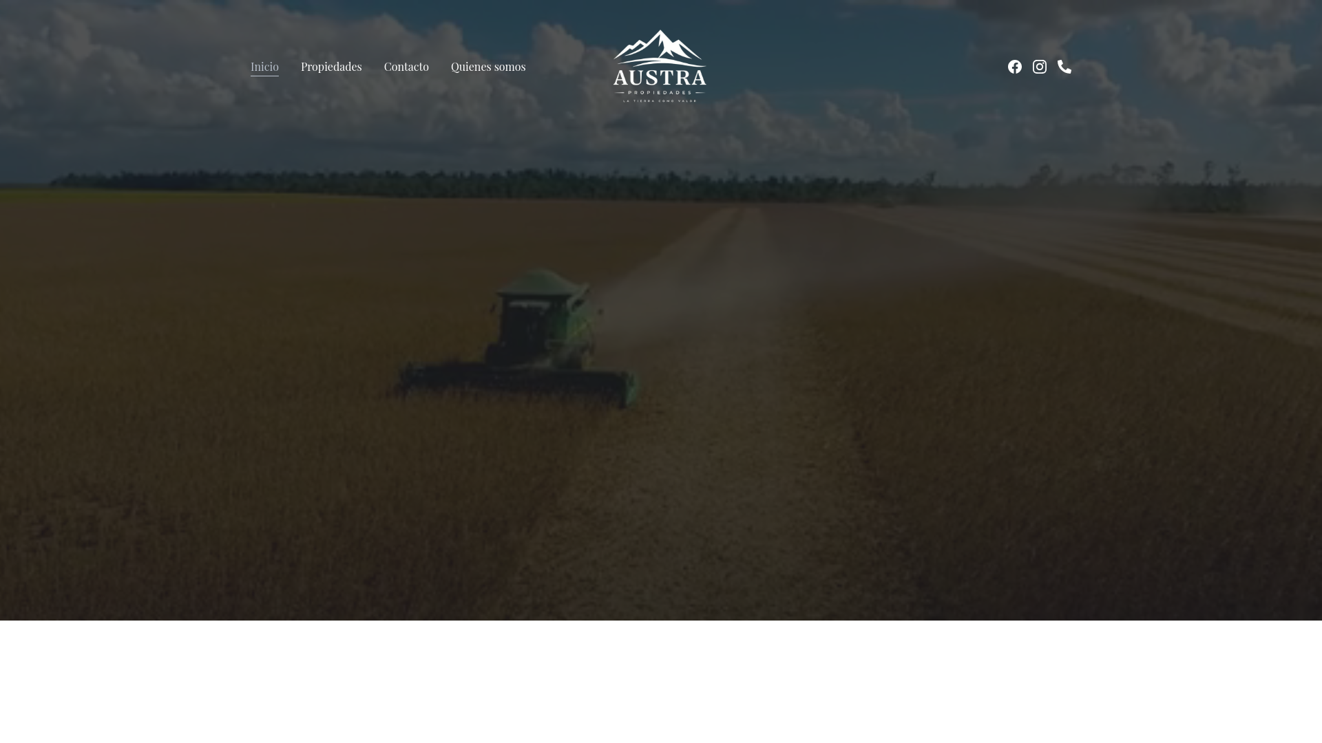 website screenshot of https://austrapropiedades.com.ar