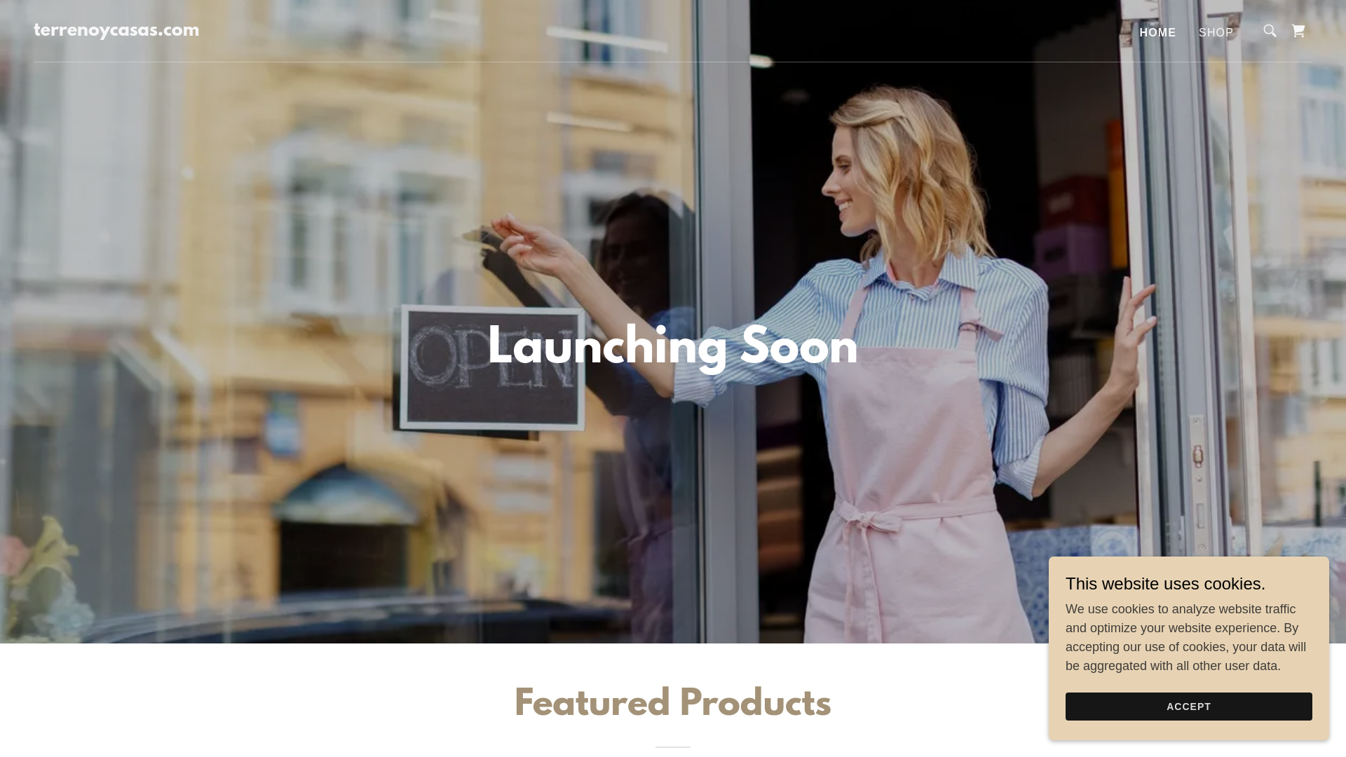 website screenshot of https://terrenoycasas.com/