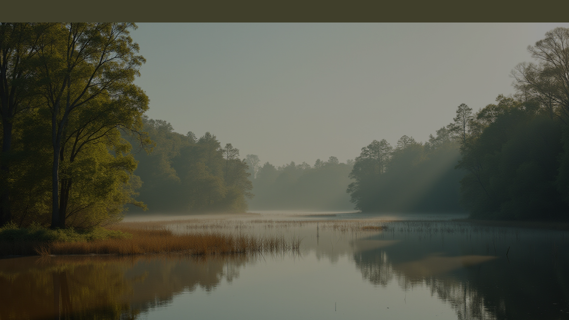 website screenshot of https://oakandoriginniagara.com/