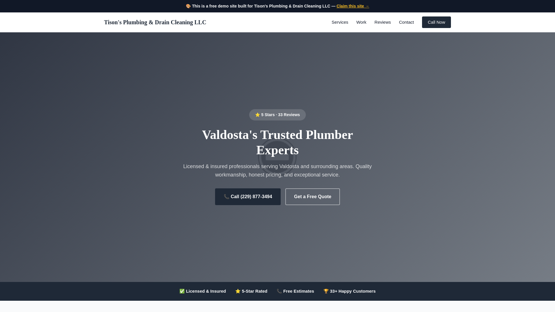 website screenshot of https://tison-s-plumbing-drain-cleaning-llc-demo.pages.dev/