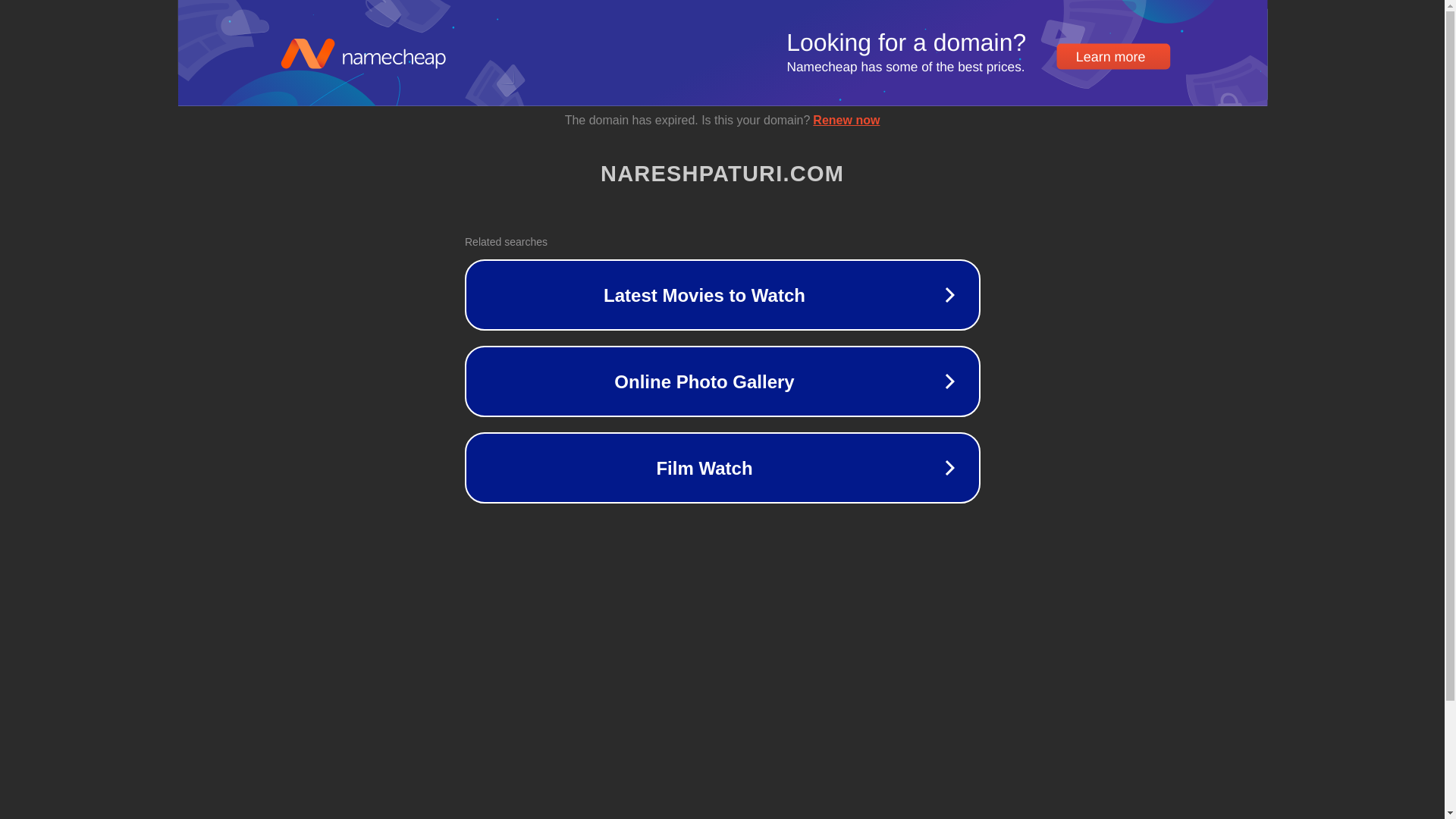 website screenshot of https://nareshpaturi.com/