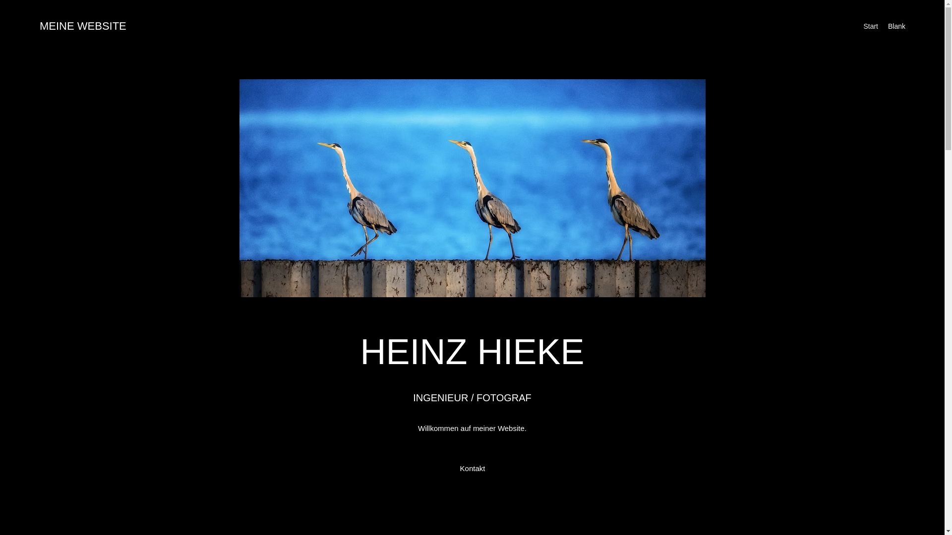 website screenshot of https://hhieke-blog.com/