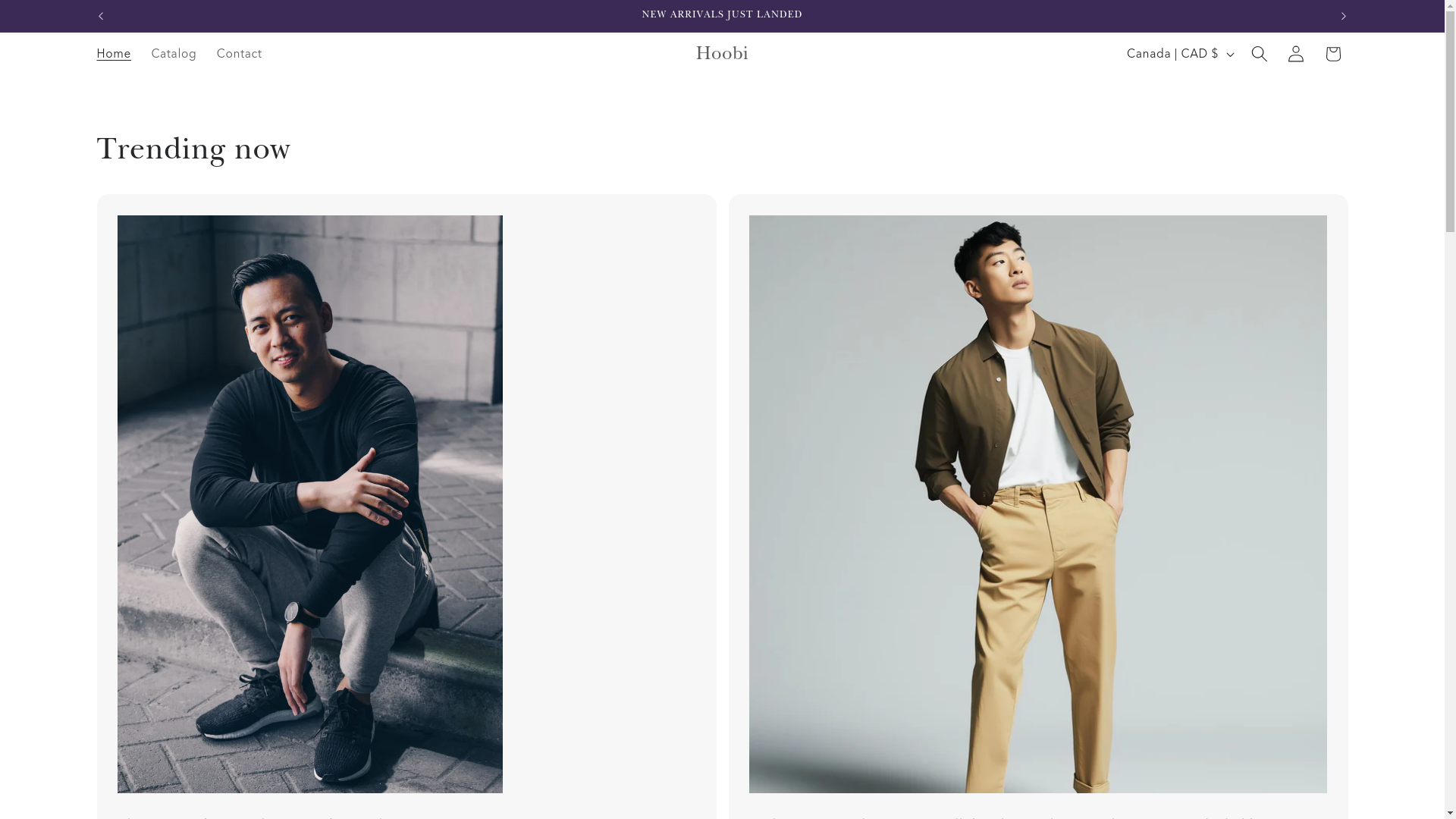 website screenshot of https://hoobiclothing.ca/