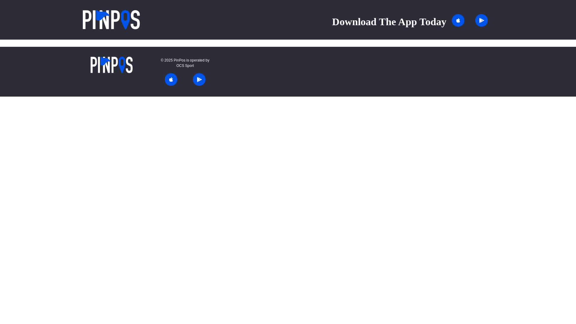 website screenshot of https://pinpos-vue.pages.dev/