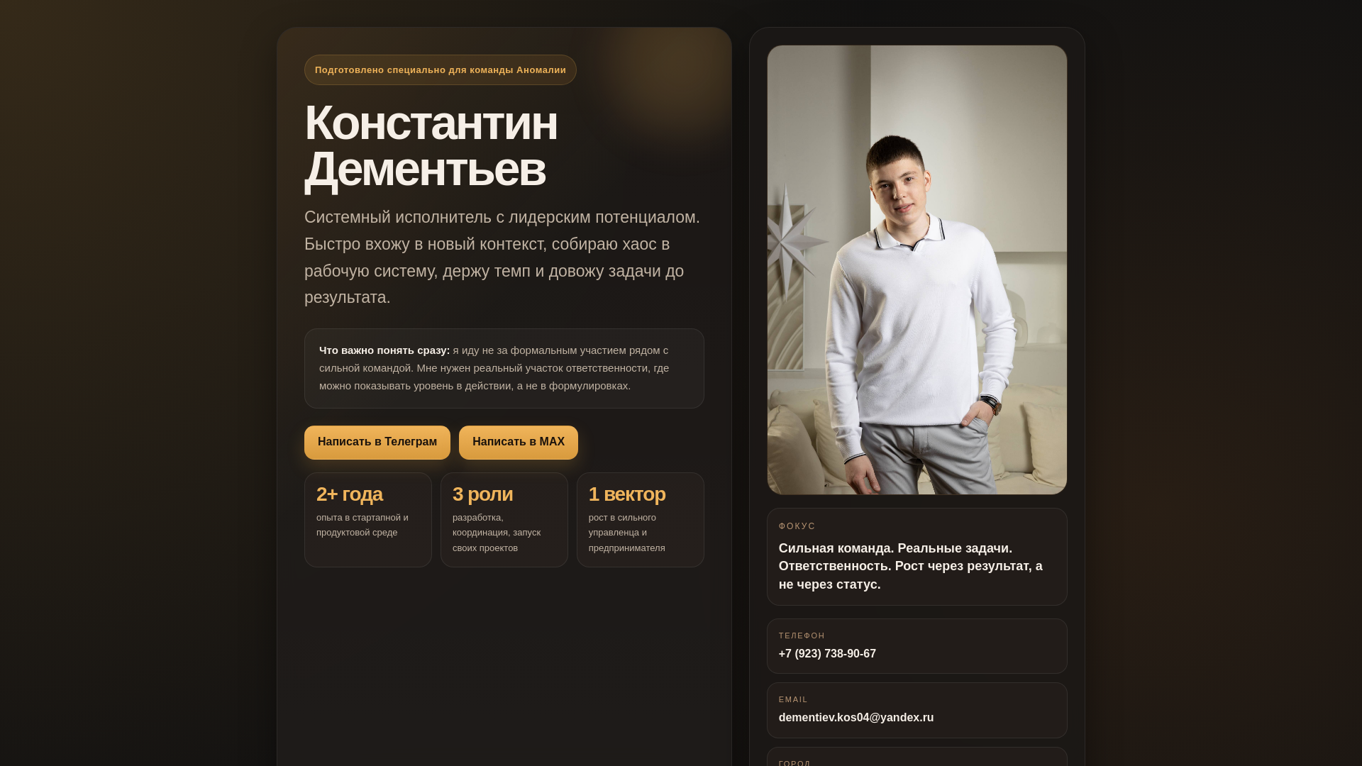 website screenshot of https://konstantin-dementev.ru