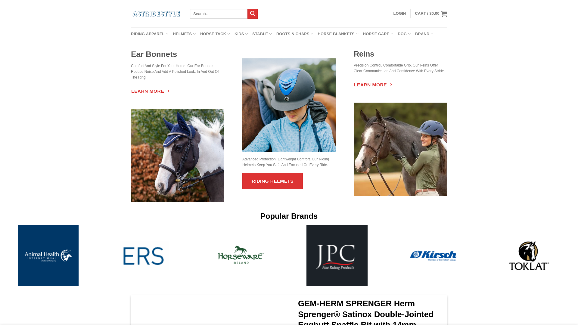 website screenshot of https://astridestyle.com