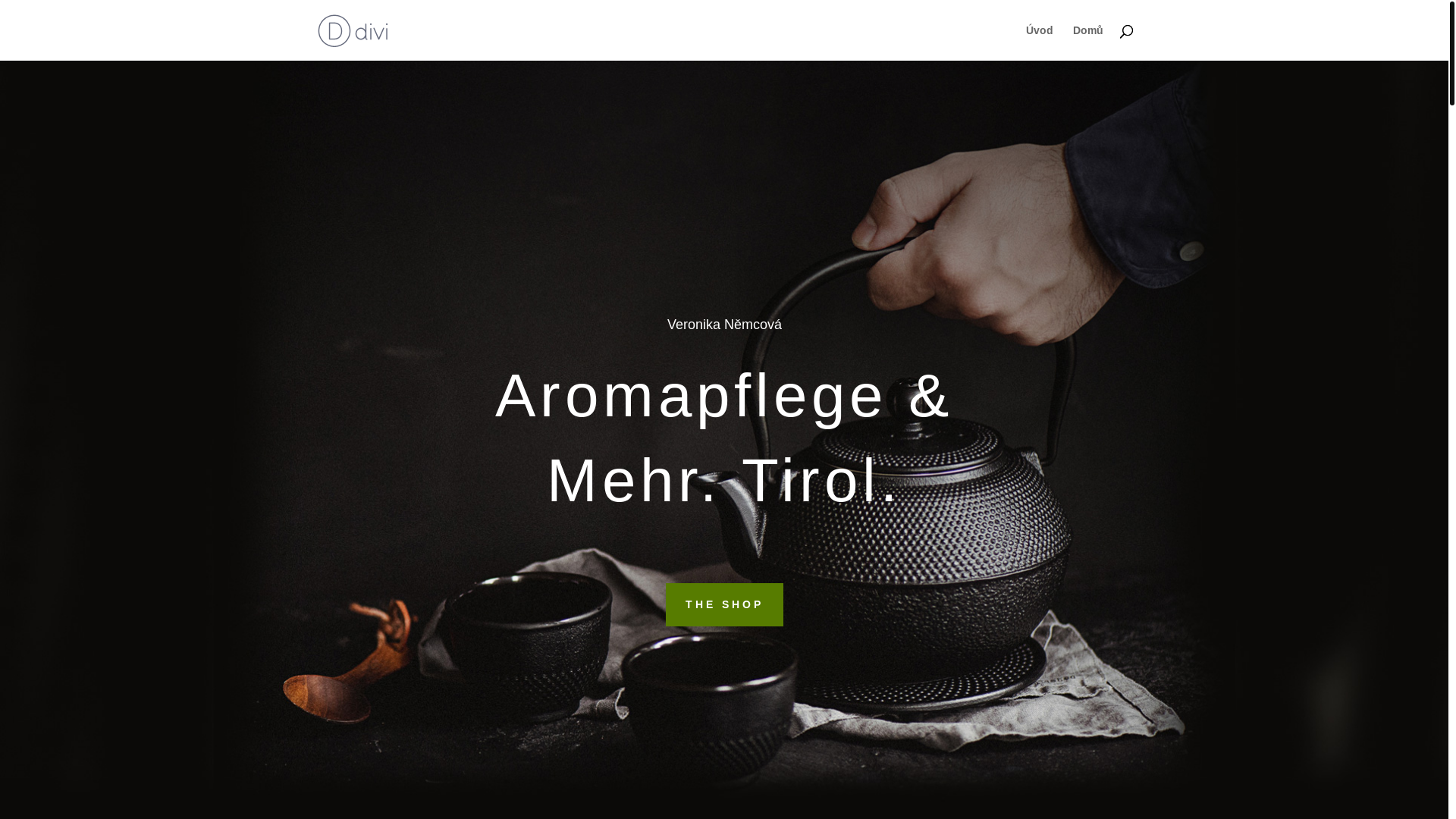 website screenshot of https://nemcovaveronika.cz/