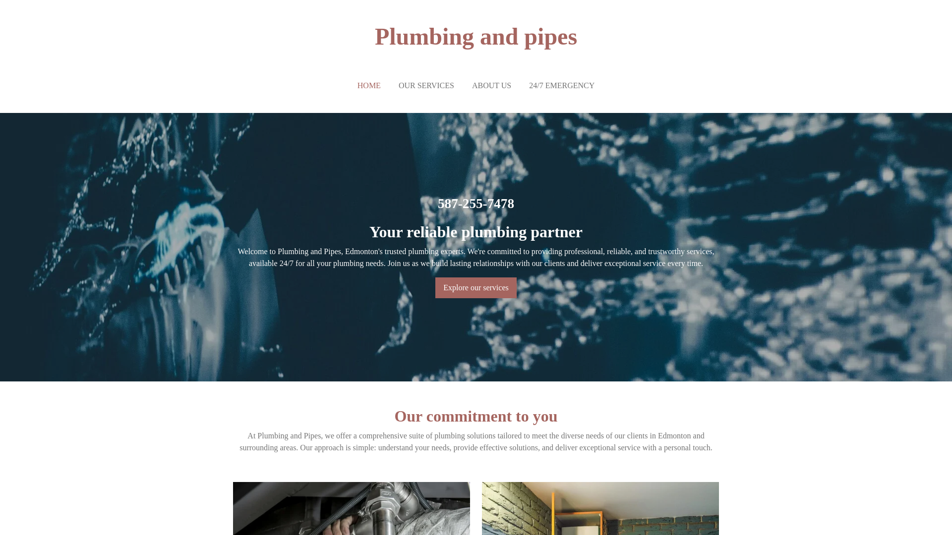 website screenshot of https://plumbingandpipes.ca