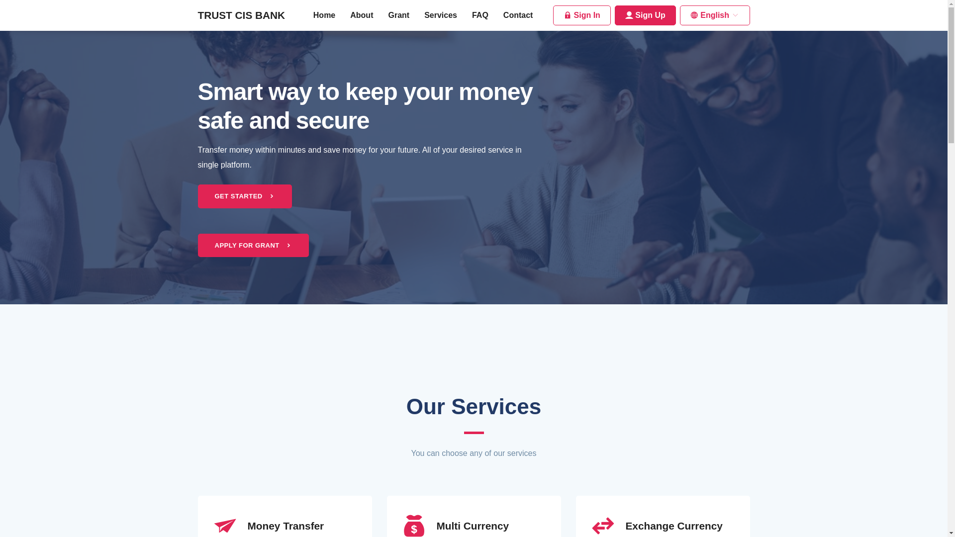 website screenshot of https://trustwgf.com/