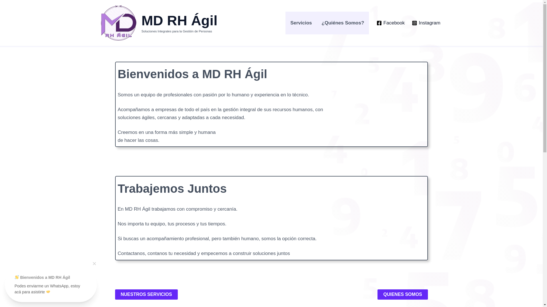 website screenshot of https://mdrhagil.com/