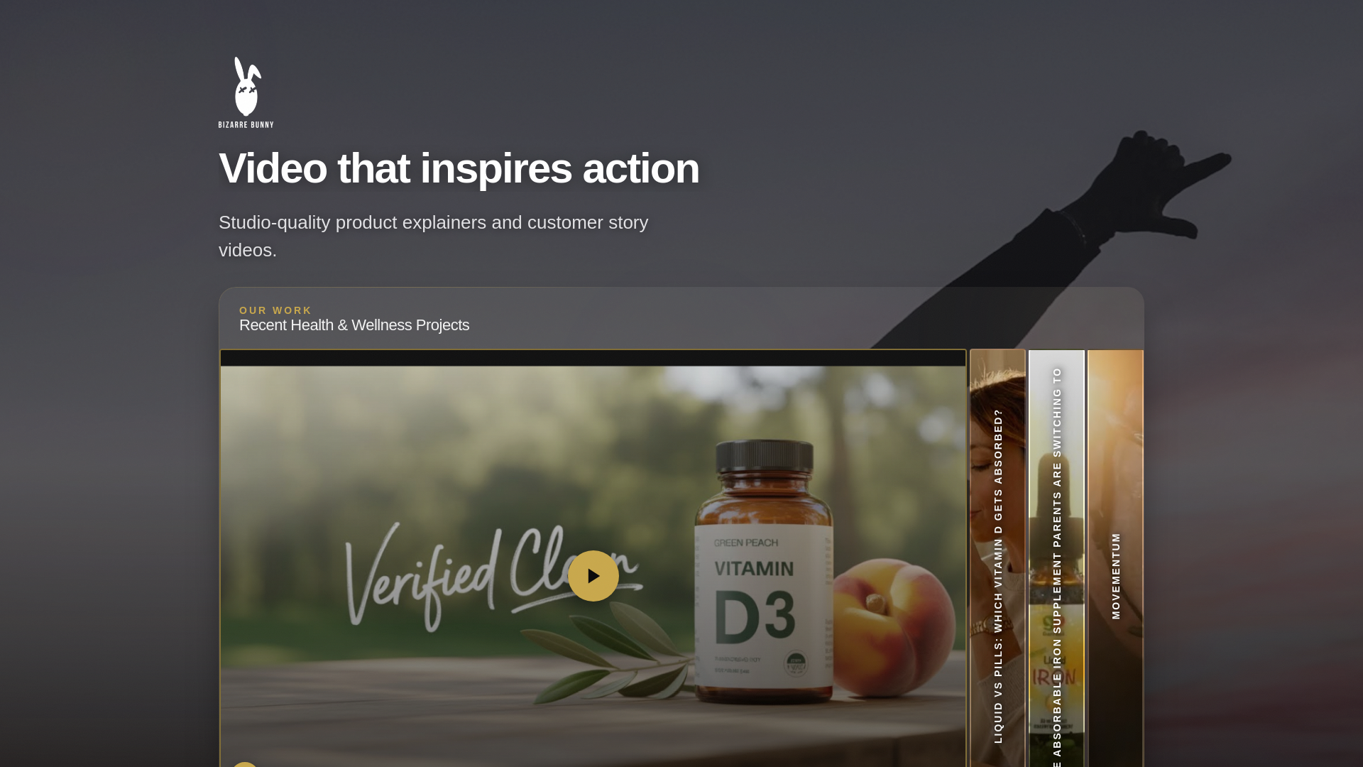 website screenshot of https://bizarrebunny-hw-tech-supplements.pages.dev/