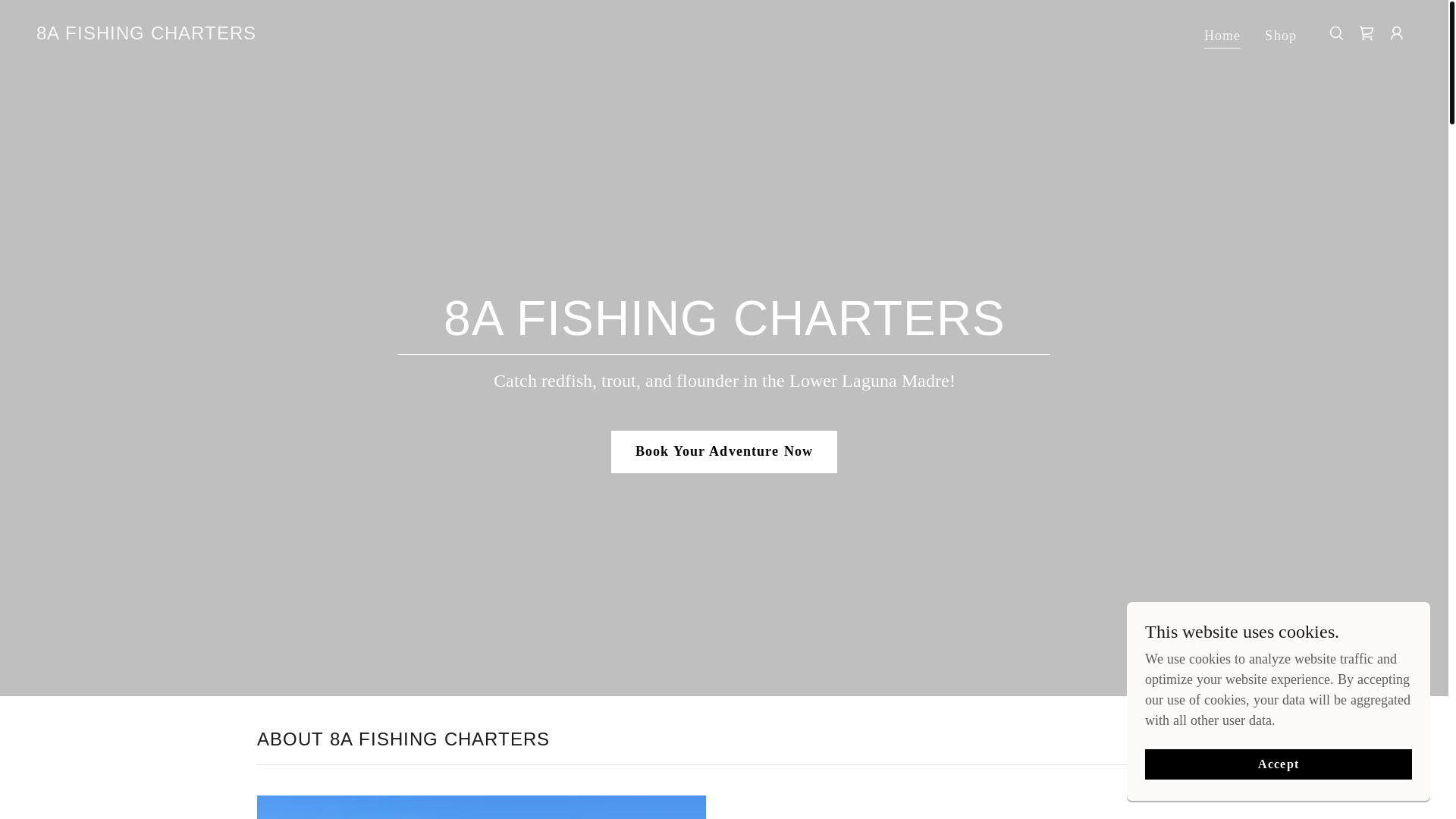 website screenshot of https://8afishing.com/