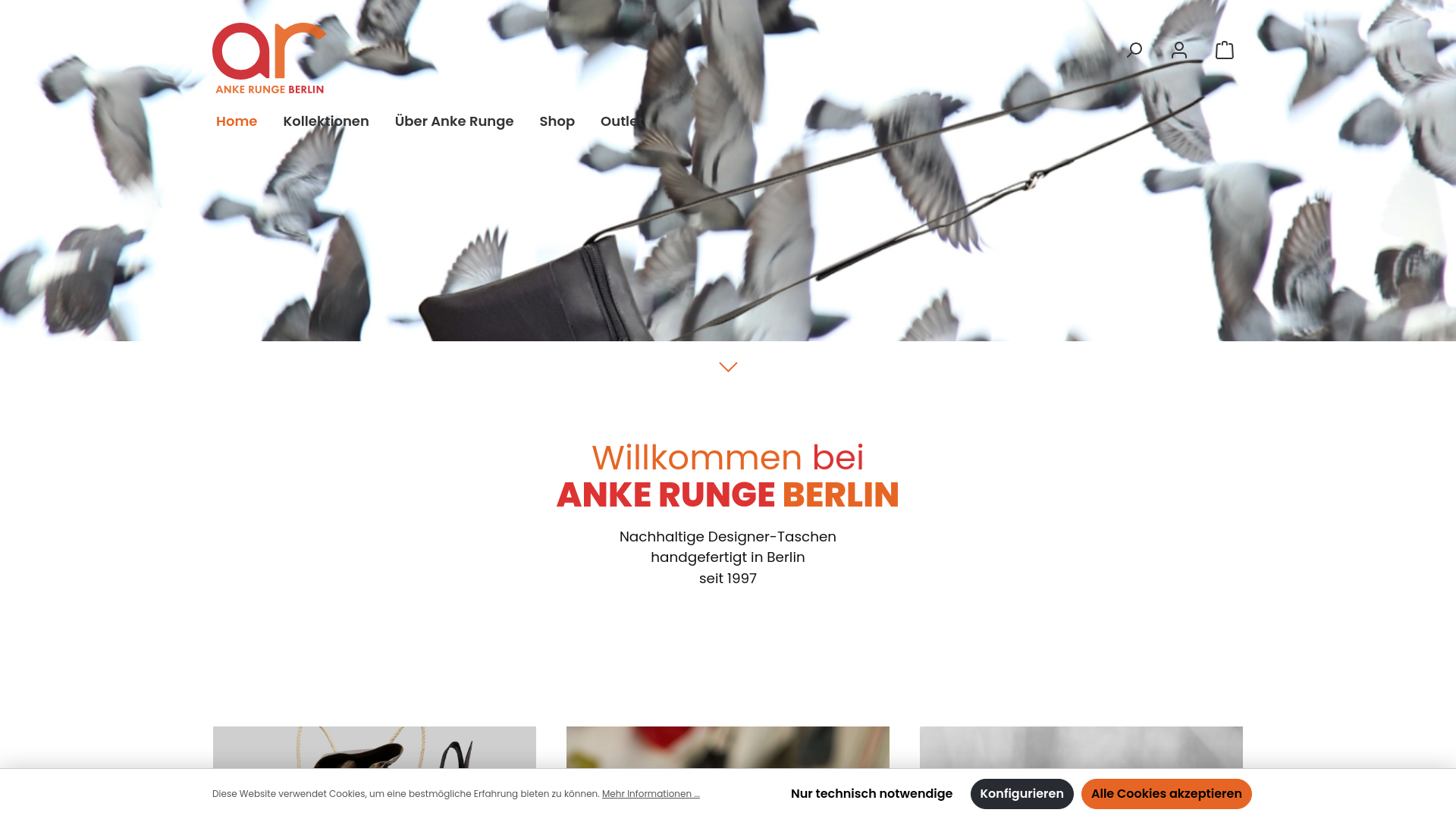 website screenshot of https://ankerunge.de