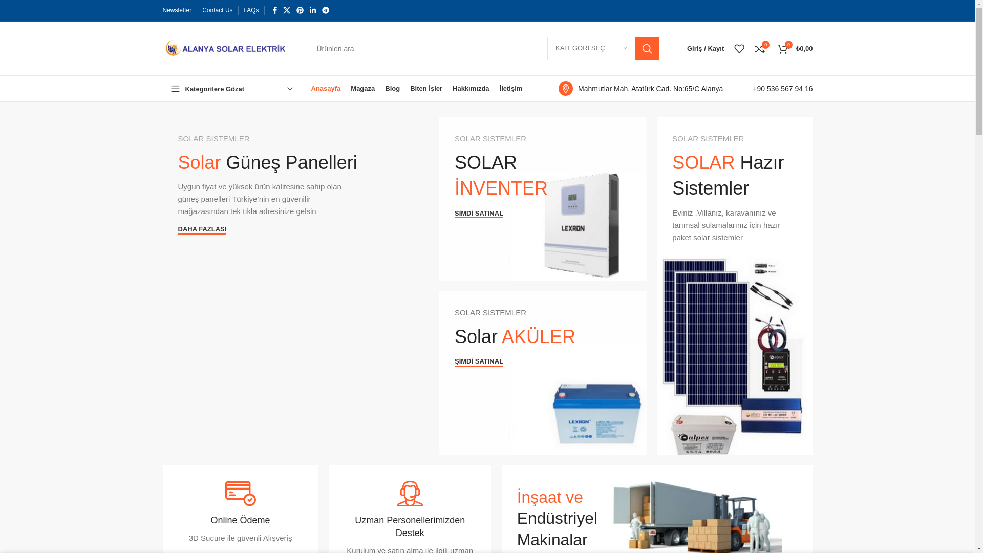 website screenshot of https://alanyasolarelektrik.com