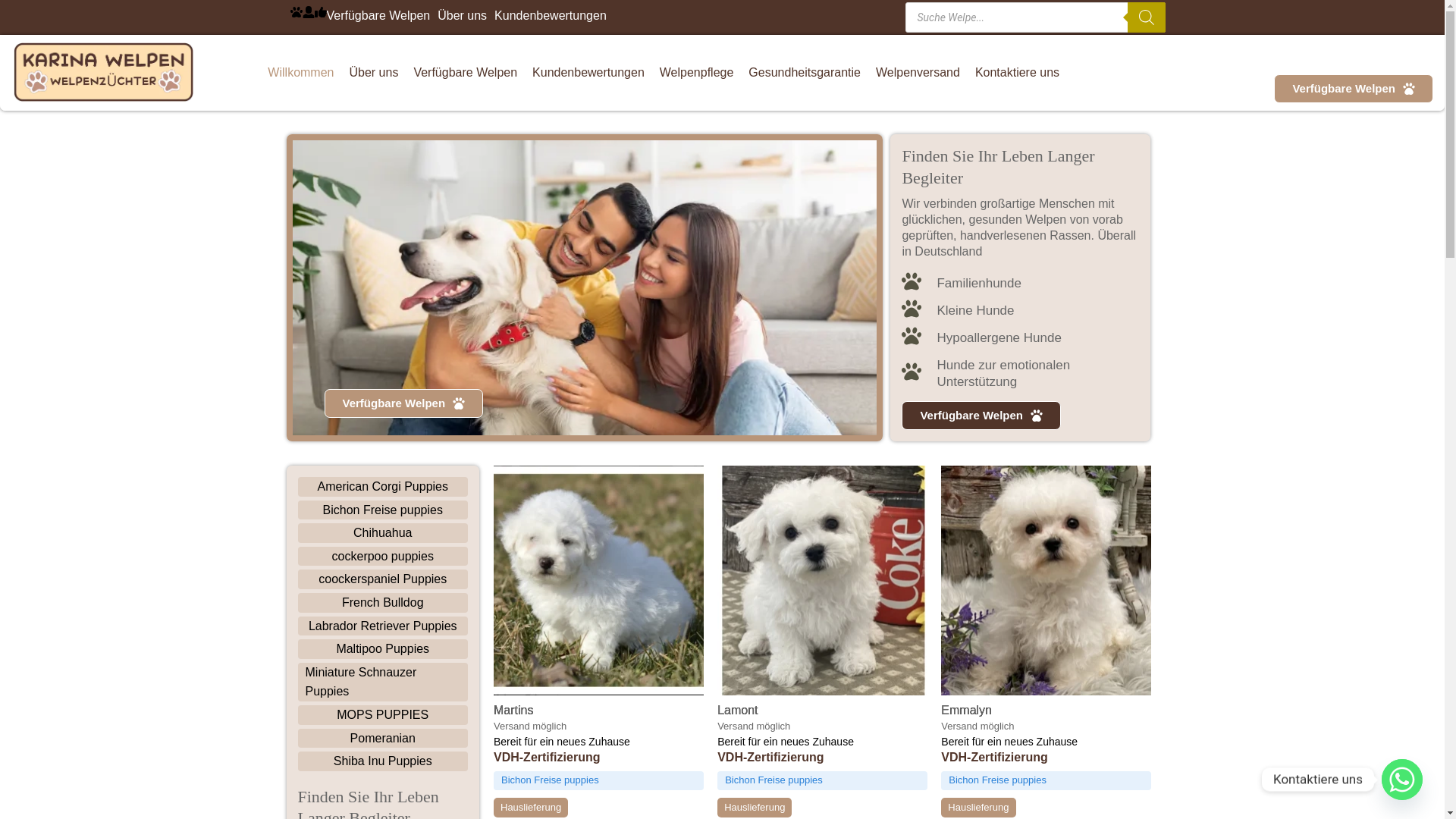 website screenshot of https://karinawelpenpflege.de/