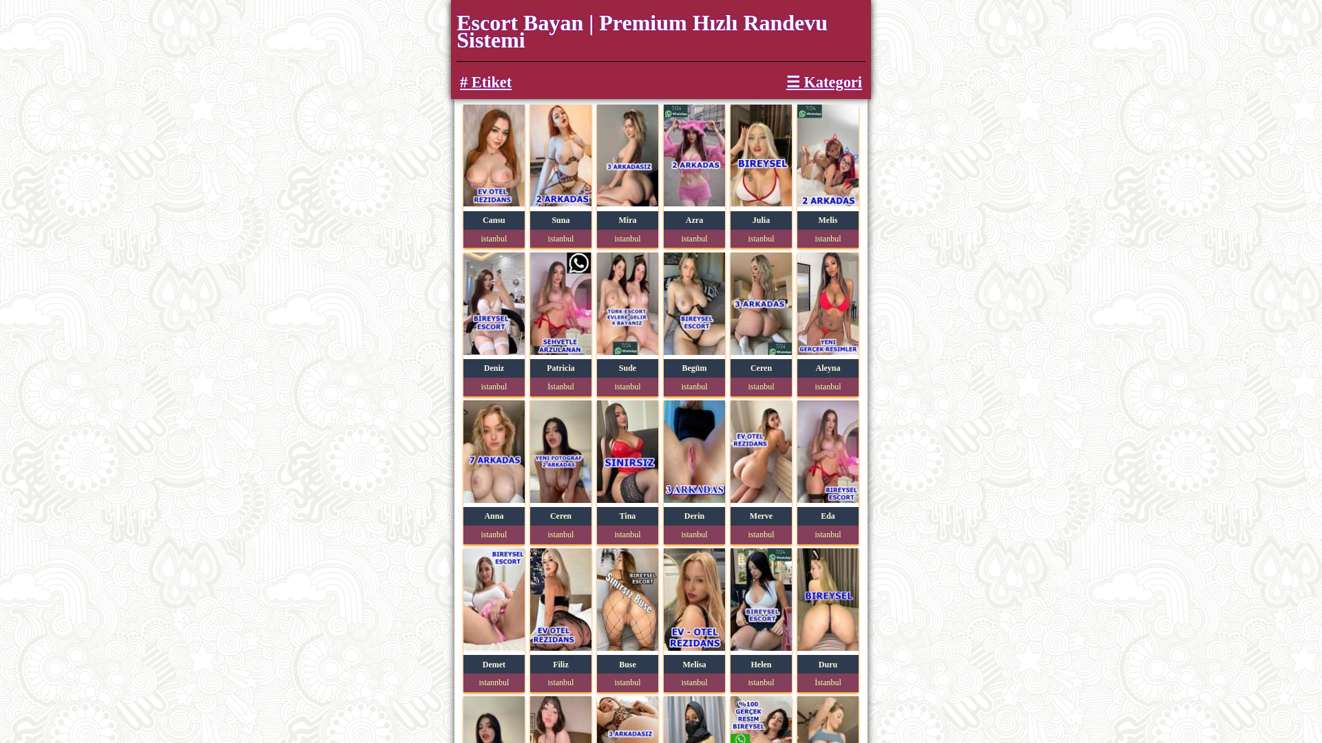 website screenshot of https://kayasehirescorts.com