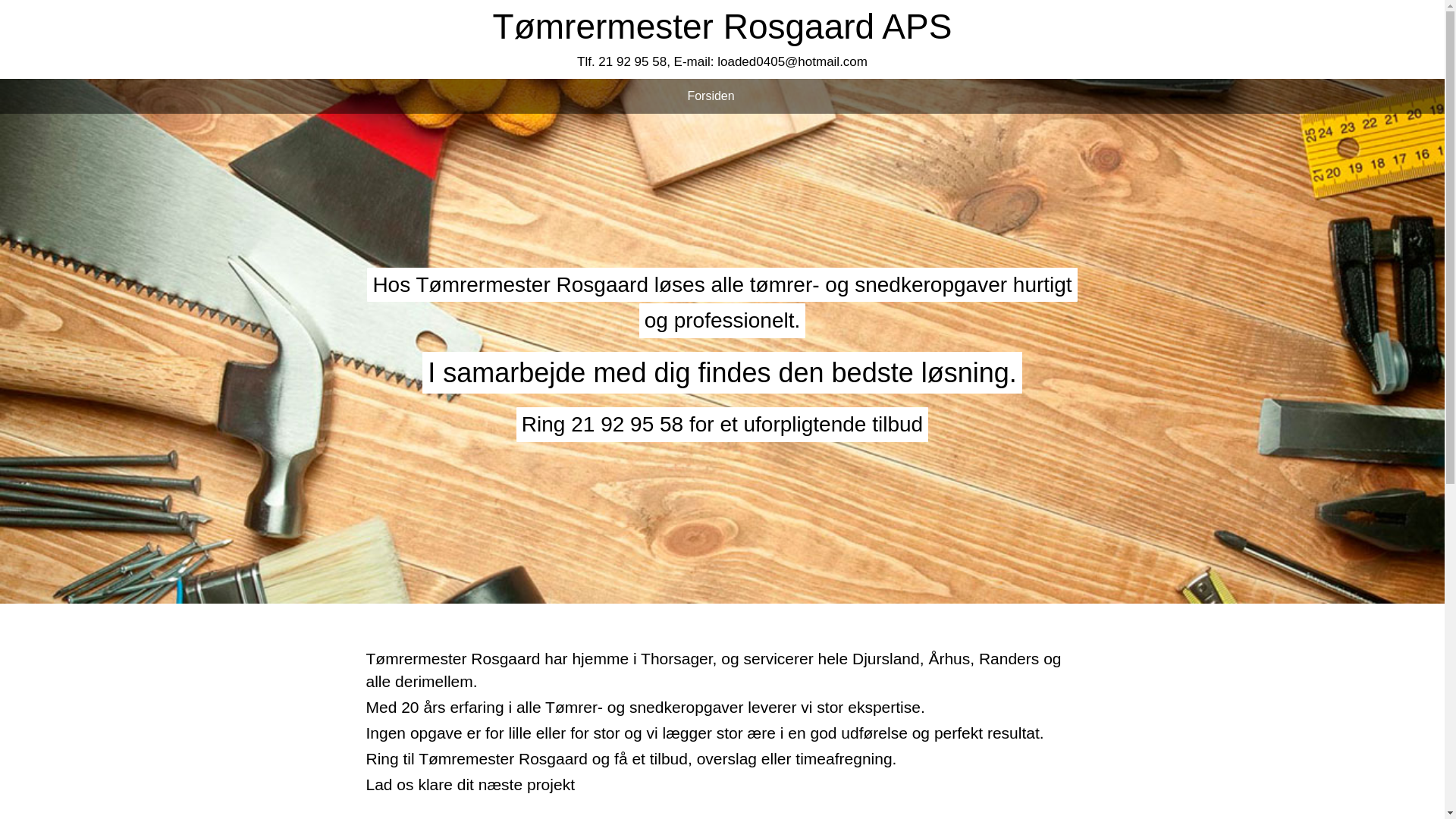 website screenshot of https://tomrermesterrosgaard.dk/