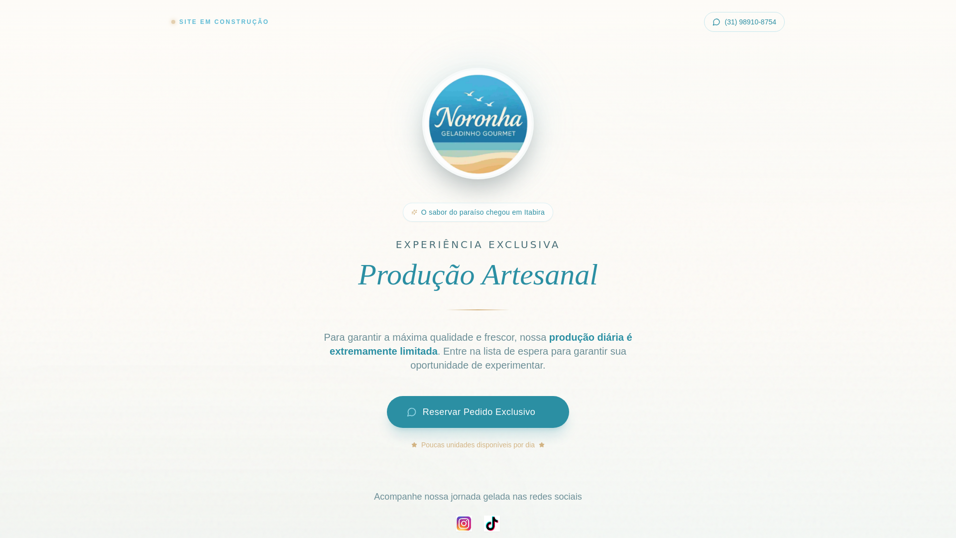 website screenshot of https://noronhageladinhogourmet.com.br