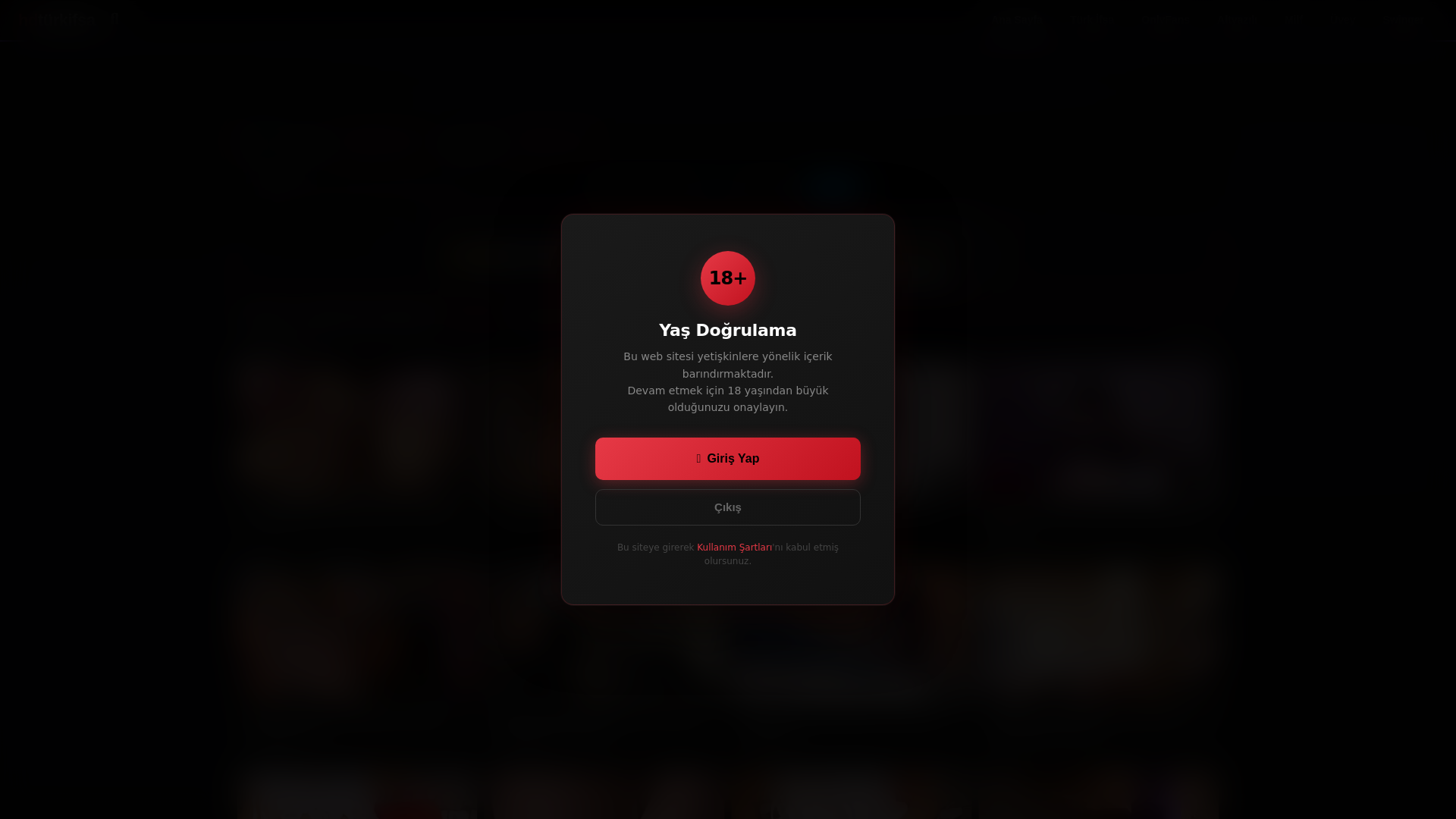 website screenshot of https://hdturkifsa7.com/