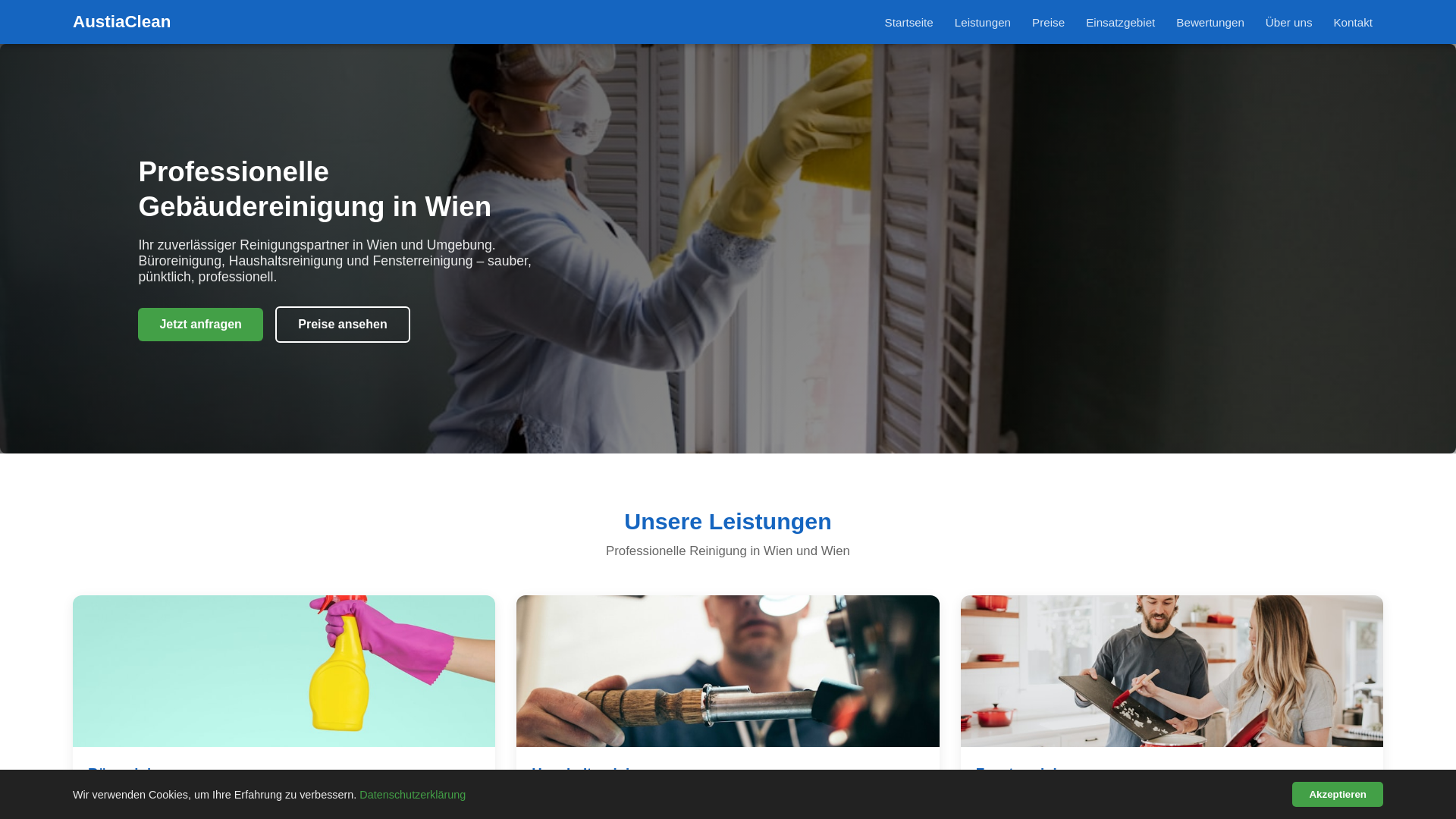 website screenshot of https://austiaclean.online