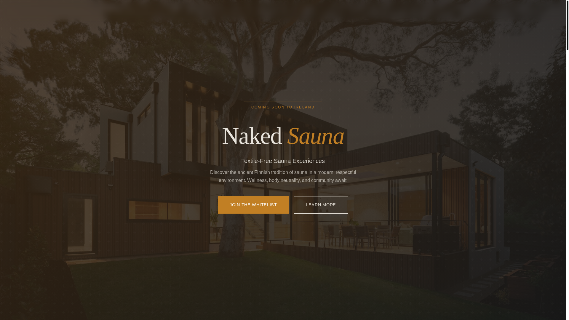 website screenshot of https://nakedsauna.ie/