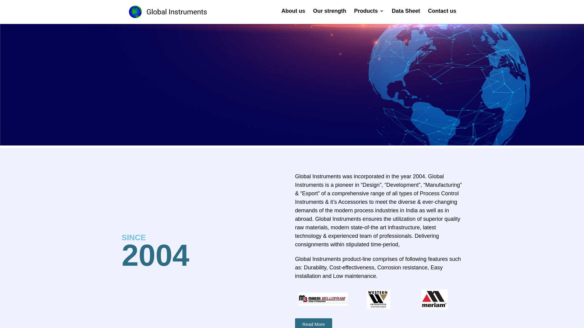 website screenshot of https://globalinstrumentsindia.com