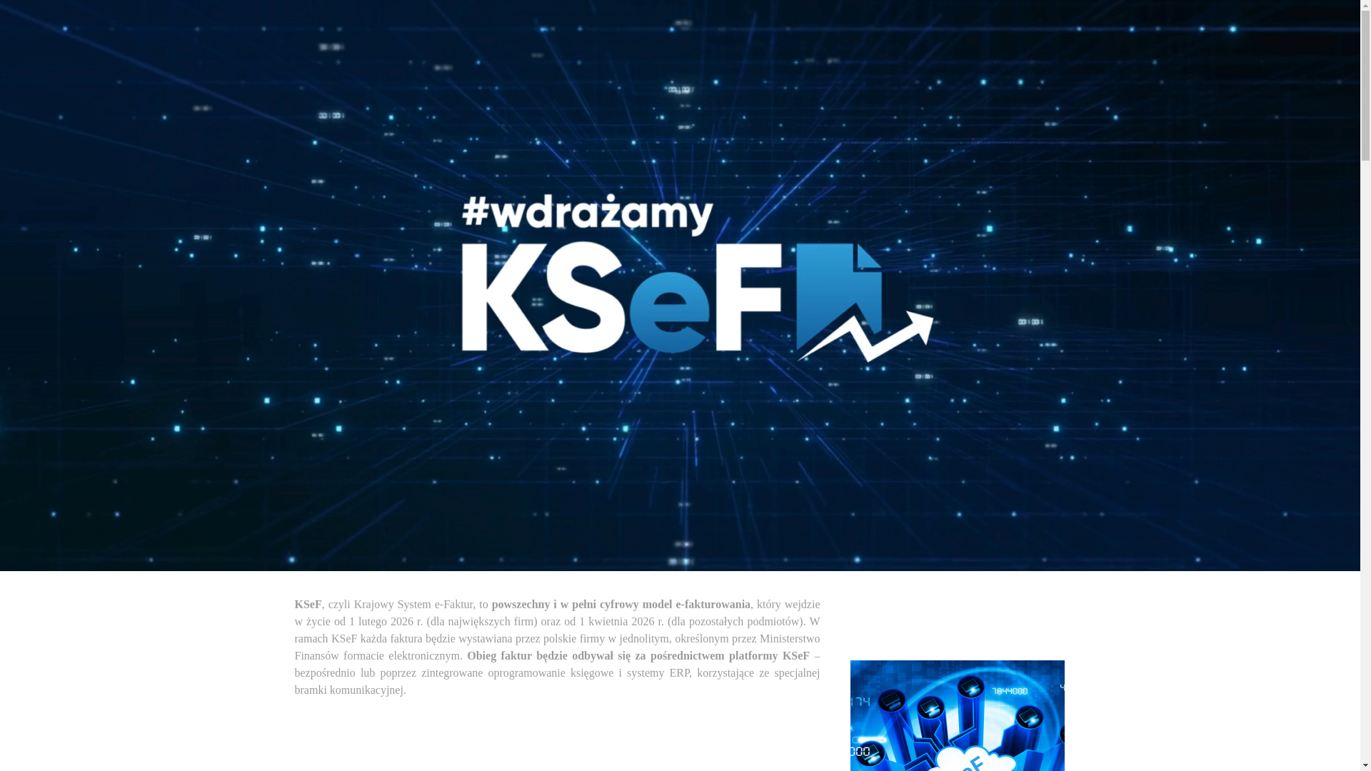 website screenshot of https://wdrazamyksef.pl/