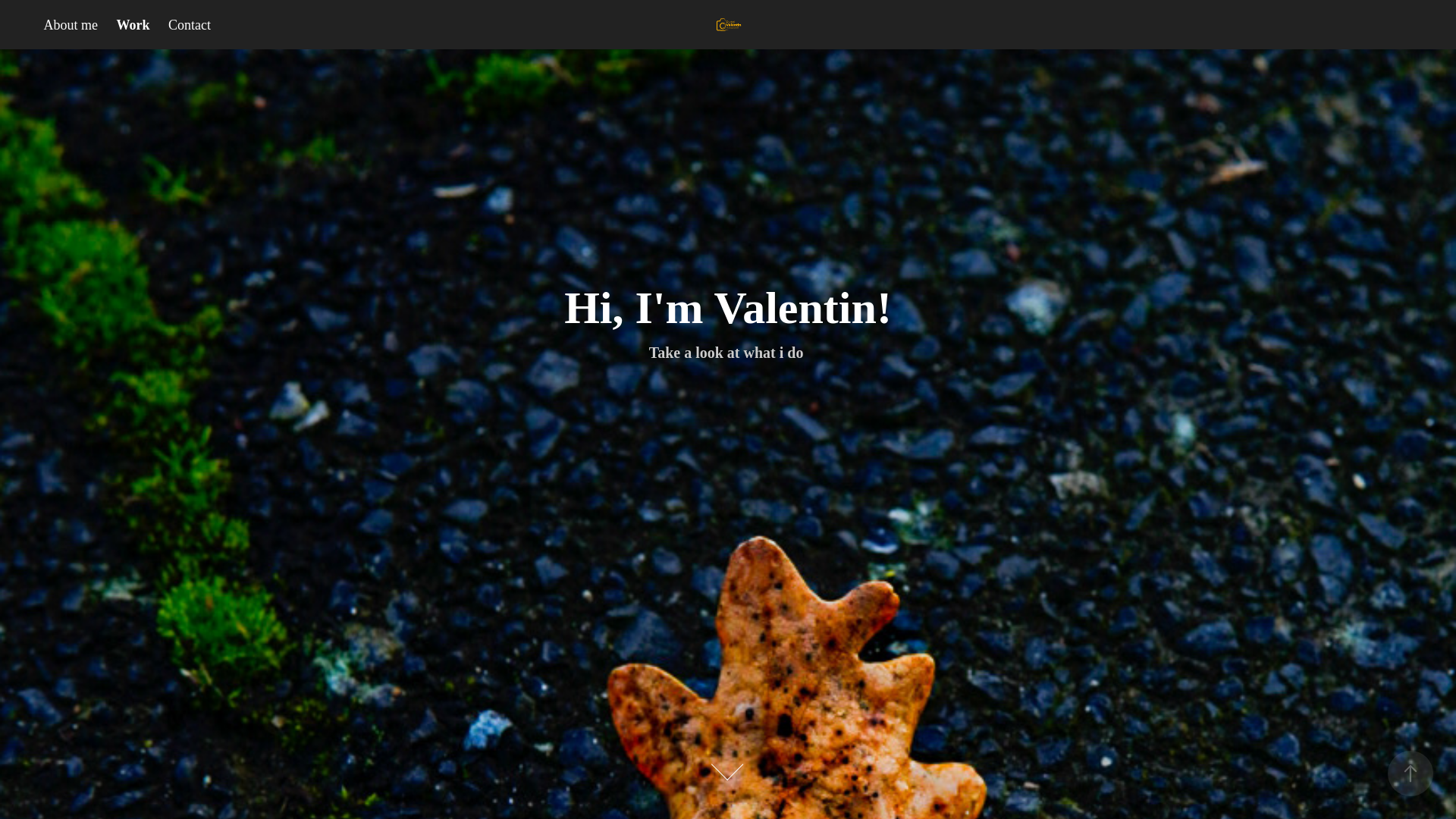 website screenshot of https://putoivalentin.com