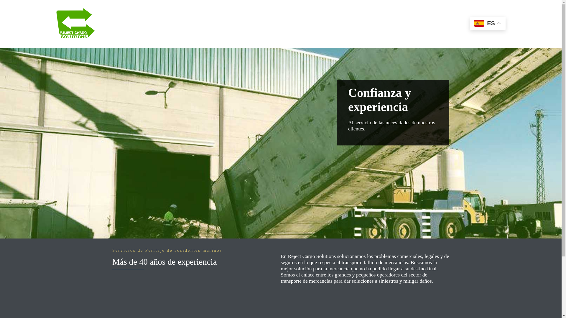 website screenshot of https://destruccionmercanciasreject.com/