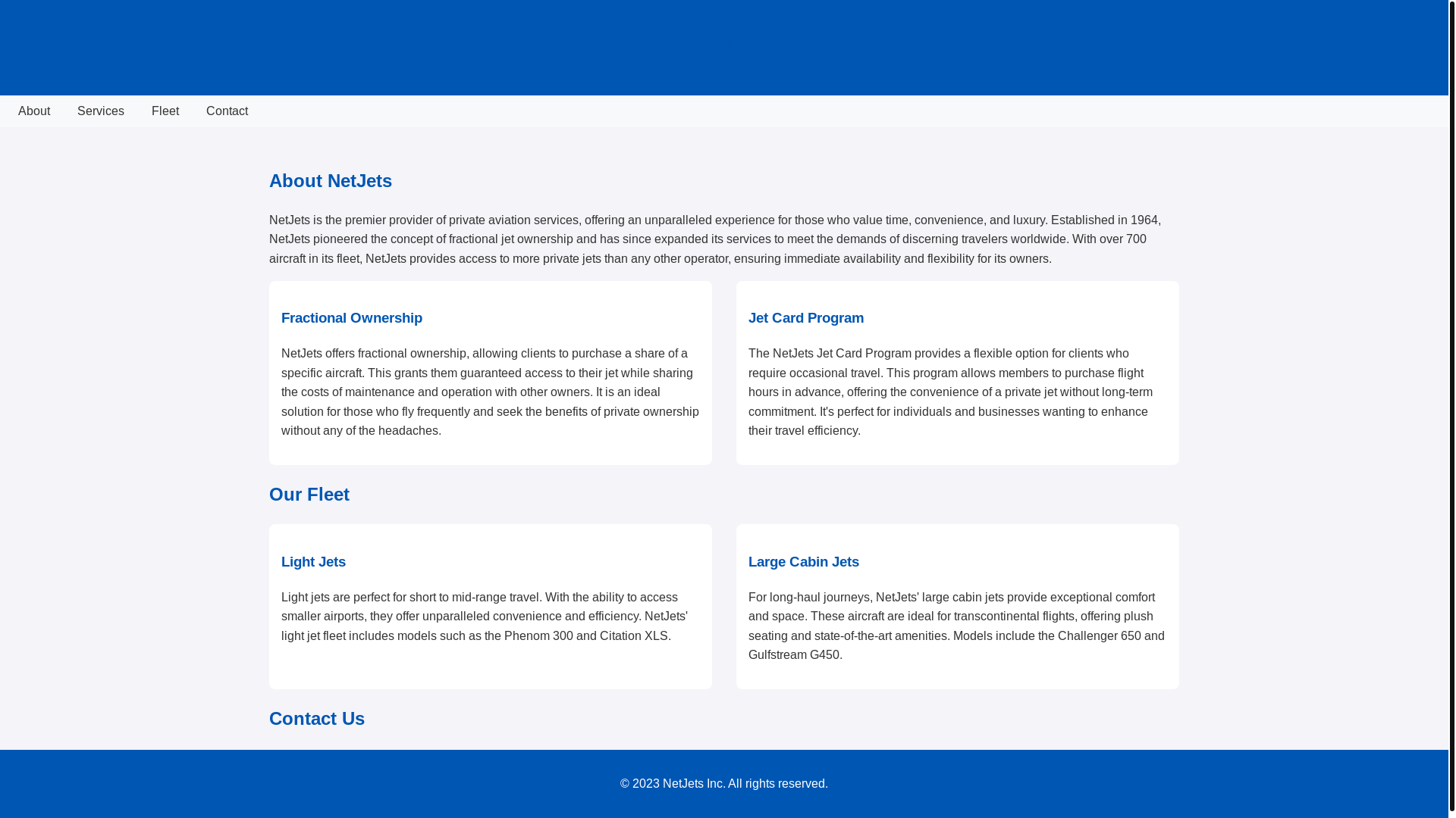 website screenshot of https://netjeets.com/