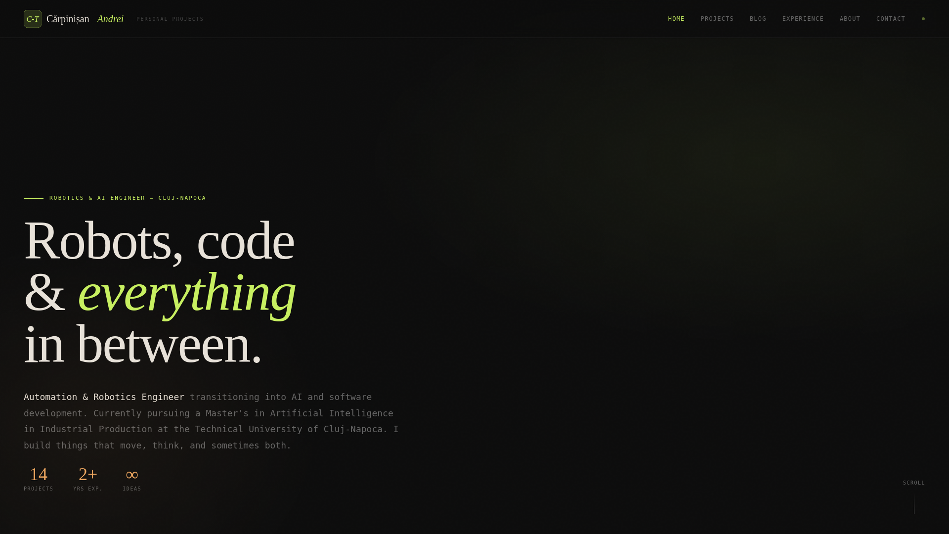 website screenshot of https://carpinisan-tech.org/