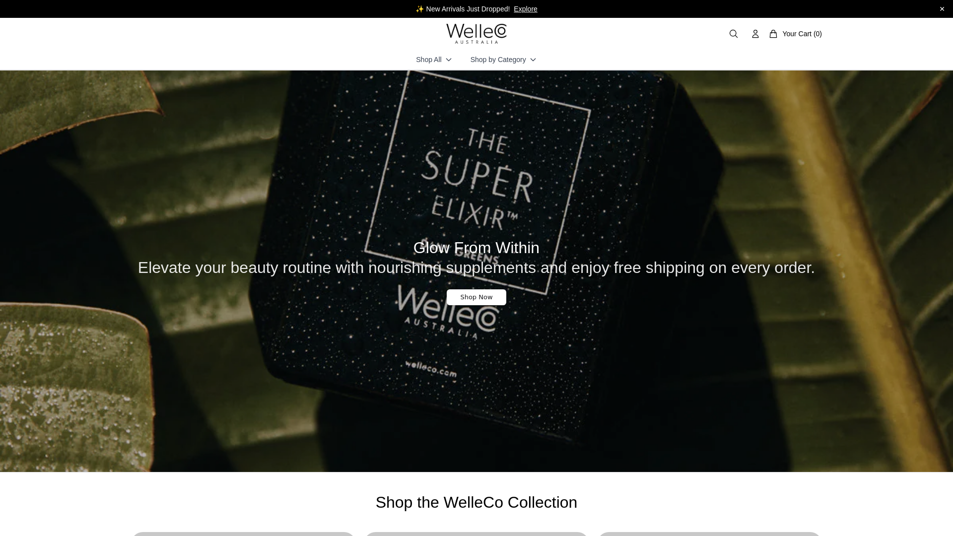 website screenshot of https://thewelleco.shop/